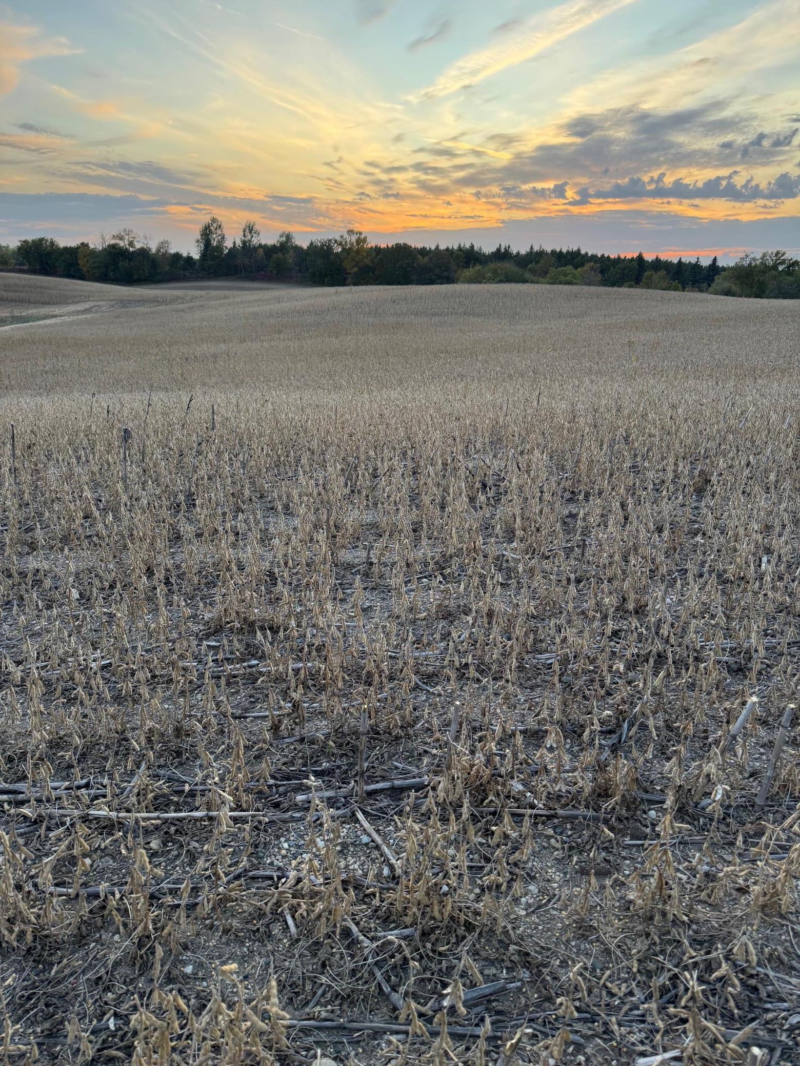 TBD Placid Drive, Dent MN 56528 - Photo 2 of 5