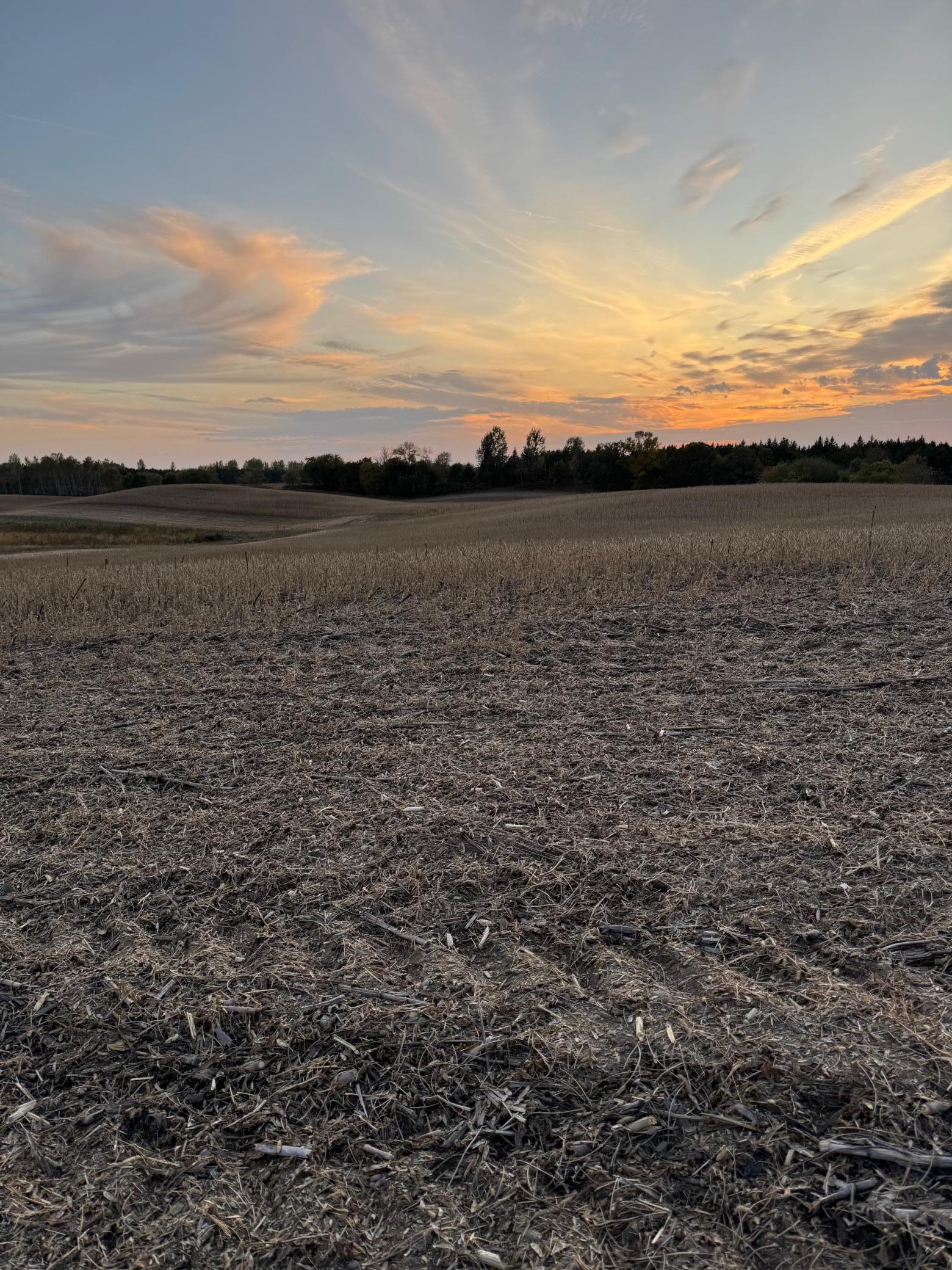 TBD Placid Drive, Dent MN 56528 - Photo 4 of 5
