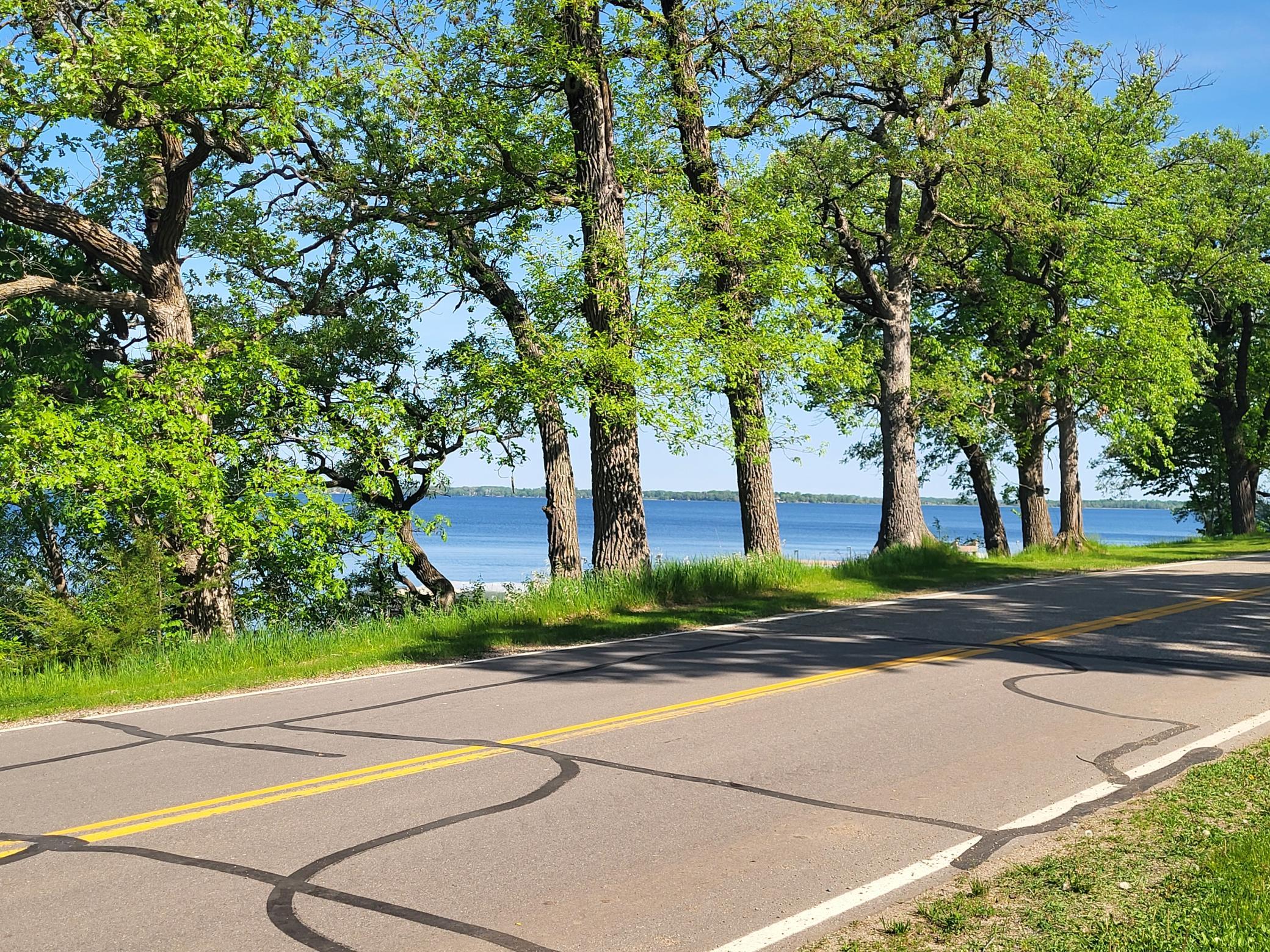 2019 land for sale at 12763 Dahlia Drive in Osakis, MN (photo 3 of 34)