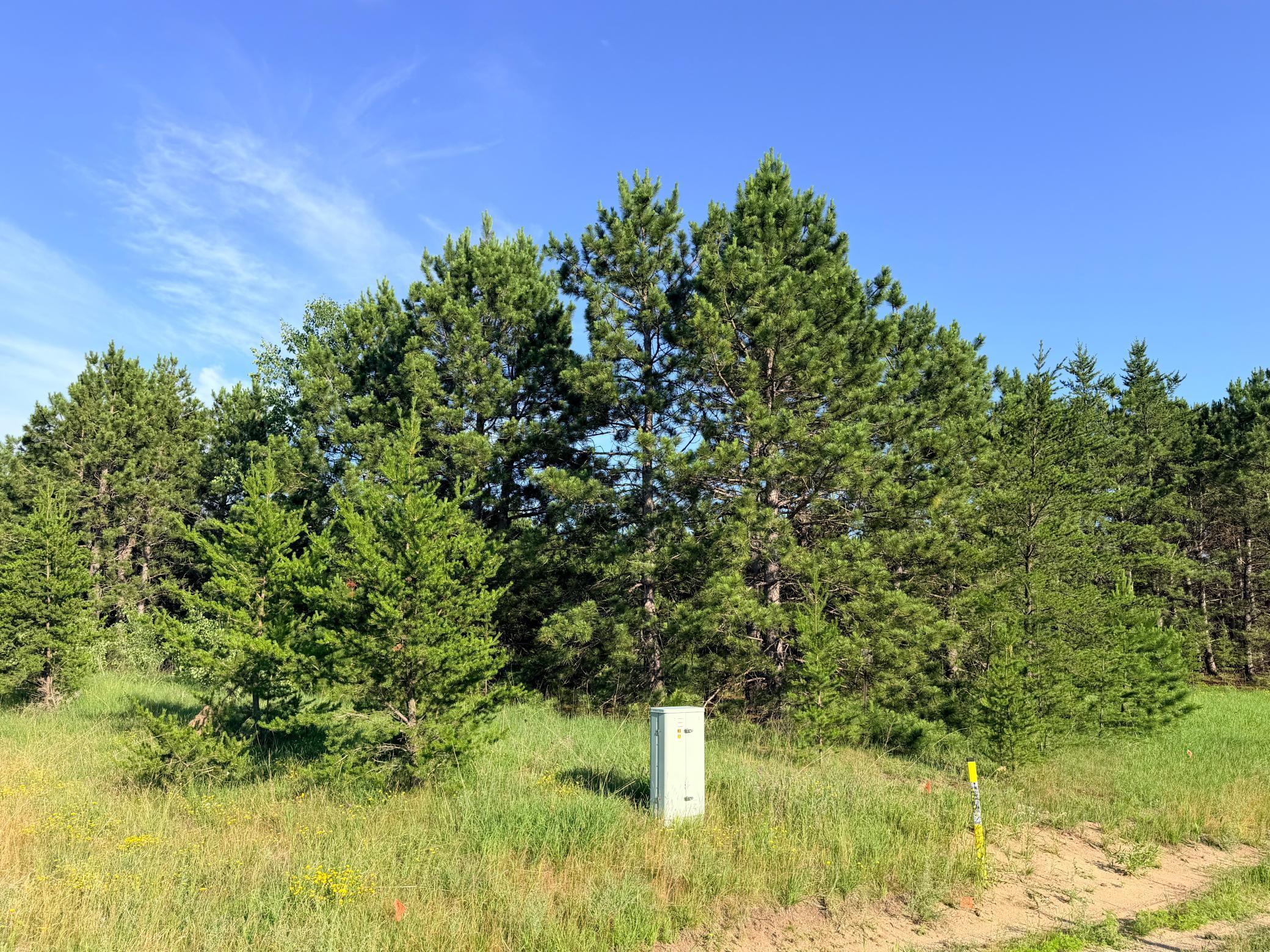 TBD 372nd St, Menahga MN 56464 - Photo 2 of 6