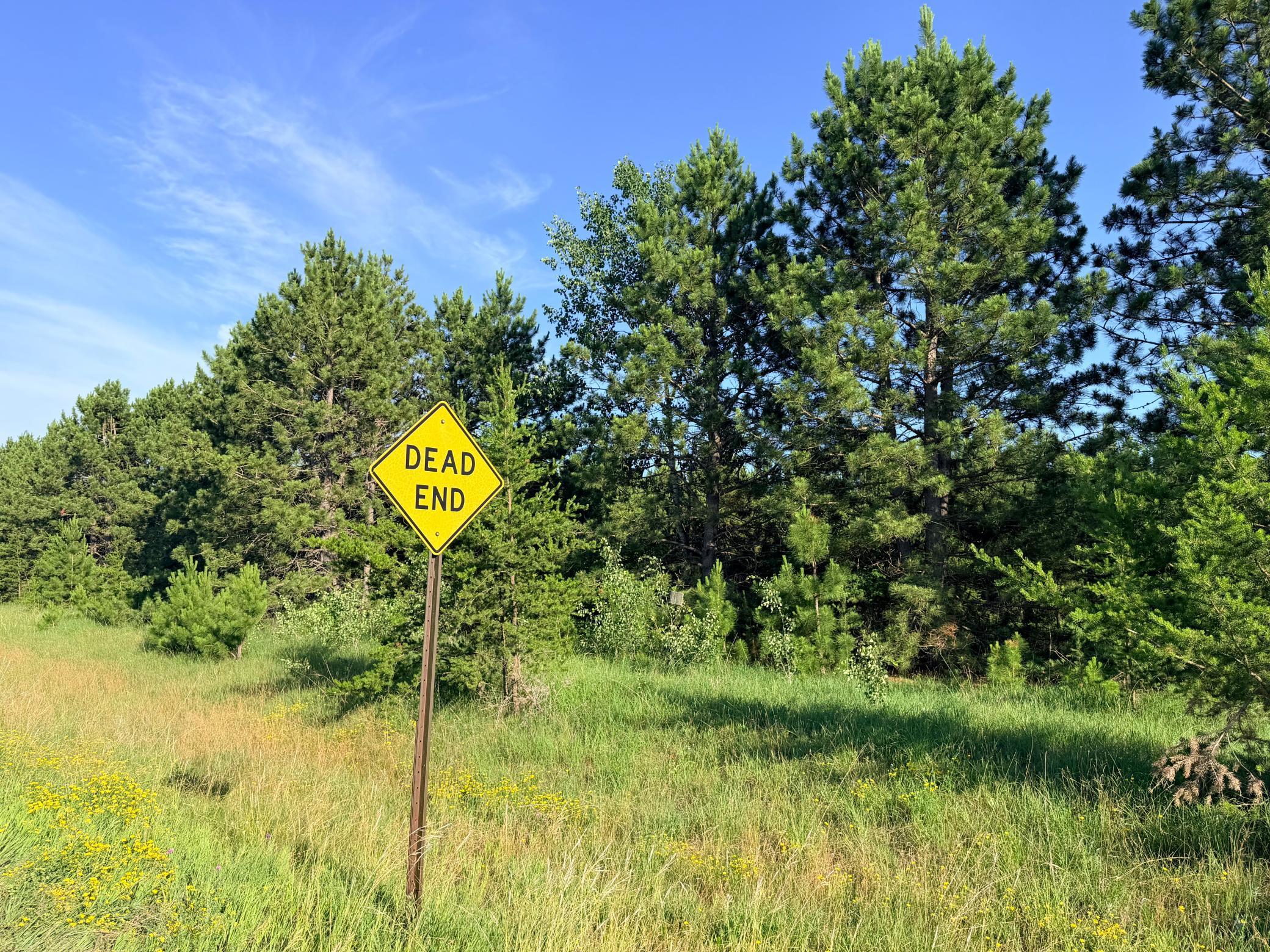 TBD 372nd St, Menahga MN 56464 - Photo 6 of 6