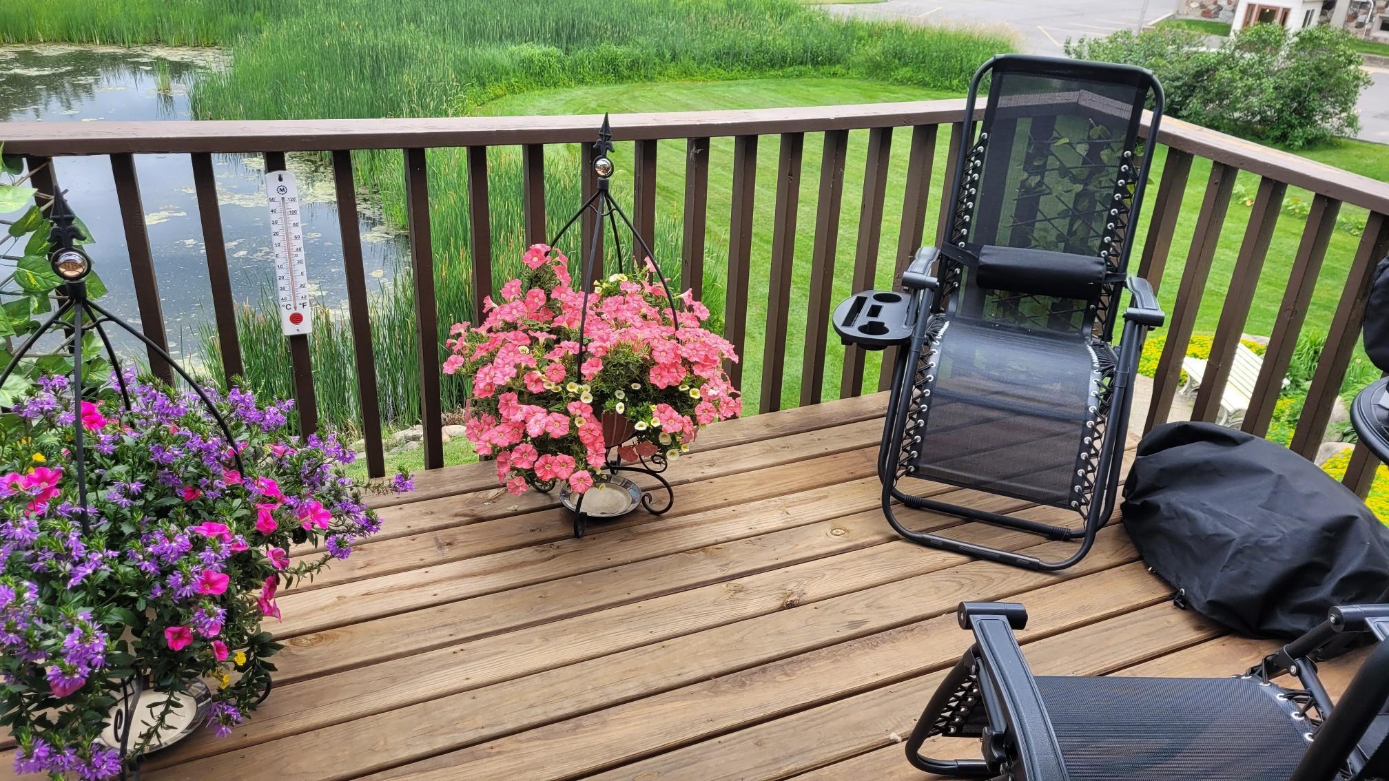 409 Norway Avenue, Unit 207, Pine River MN 56474 - Photo 3 of 25