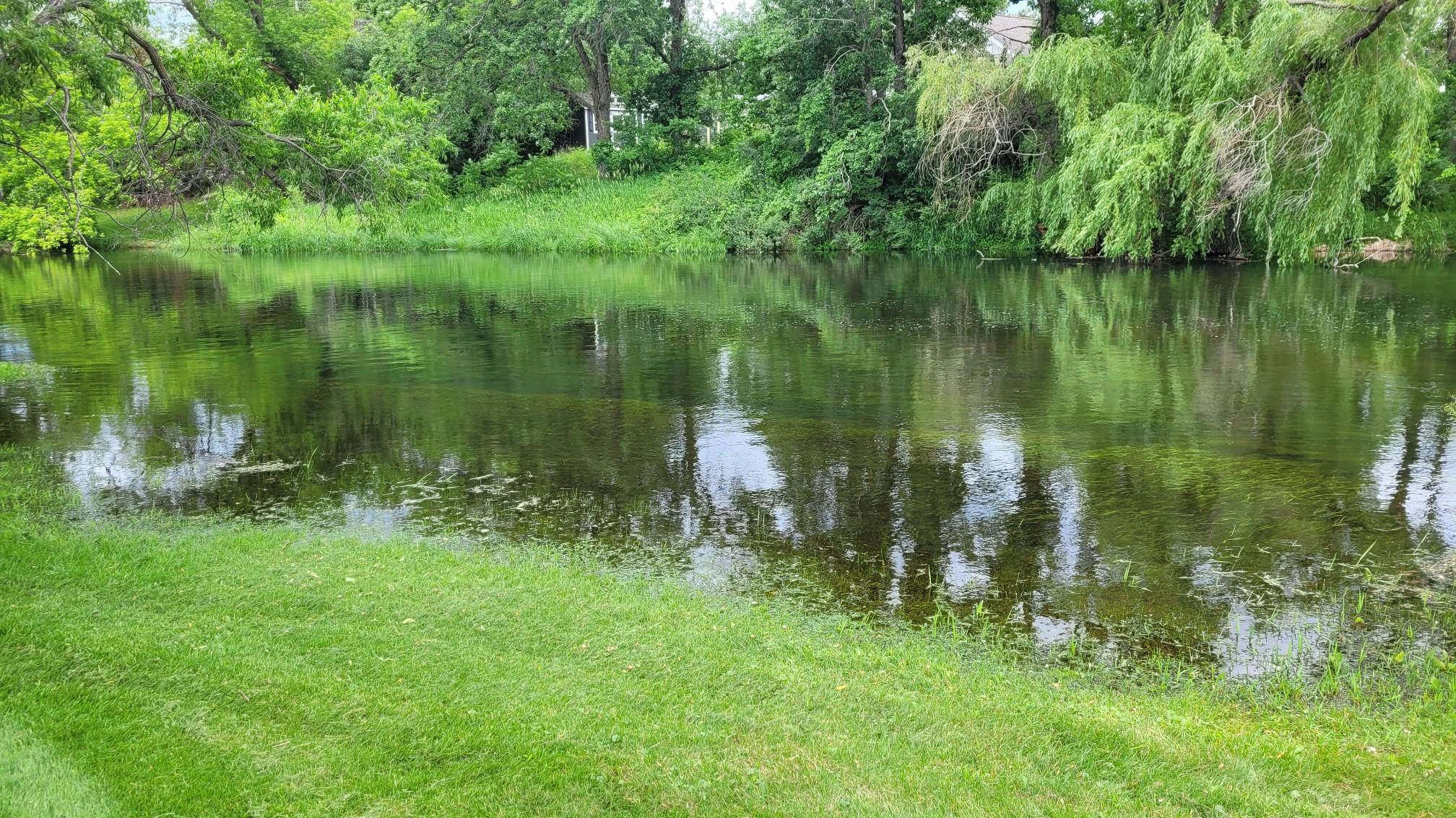409 Norway Avenue, Unit 207, Pine River MN 56474 - Photo 7 of 25