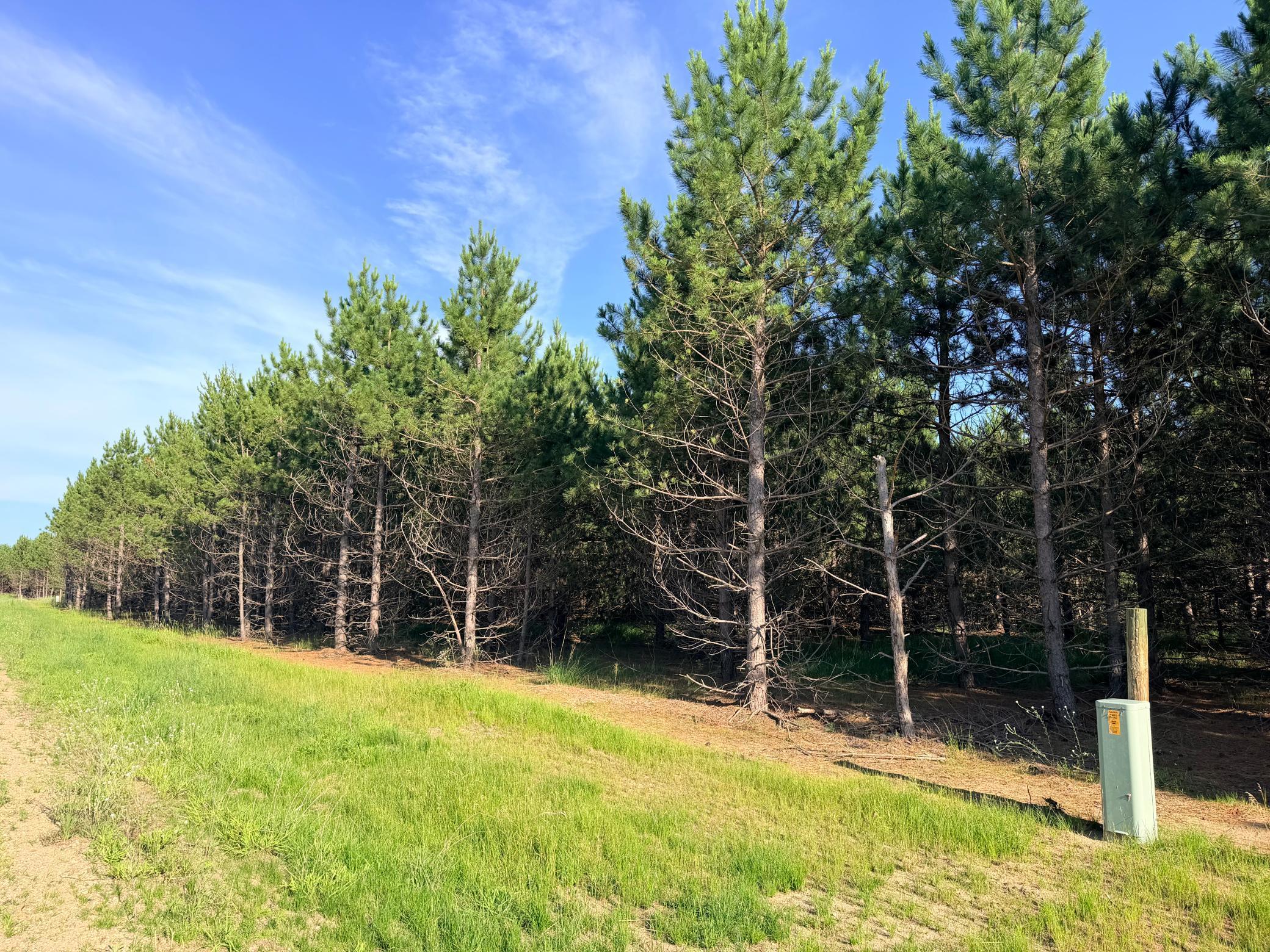 TBD Lita Lane, Menahga MN 56464 - Photo 3 of 5