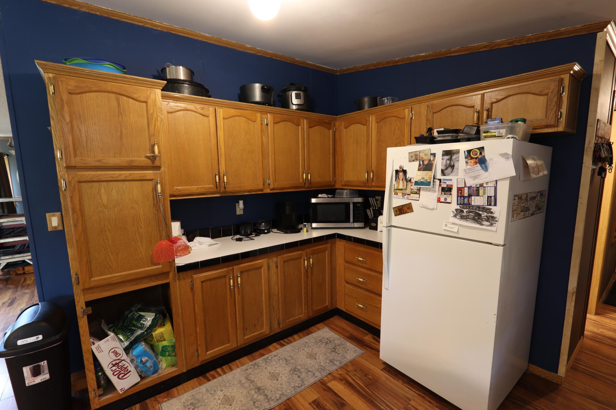 752 Lenmark Lane, Badger MN 56714 - Photo 13 of 42