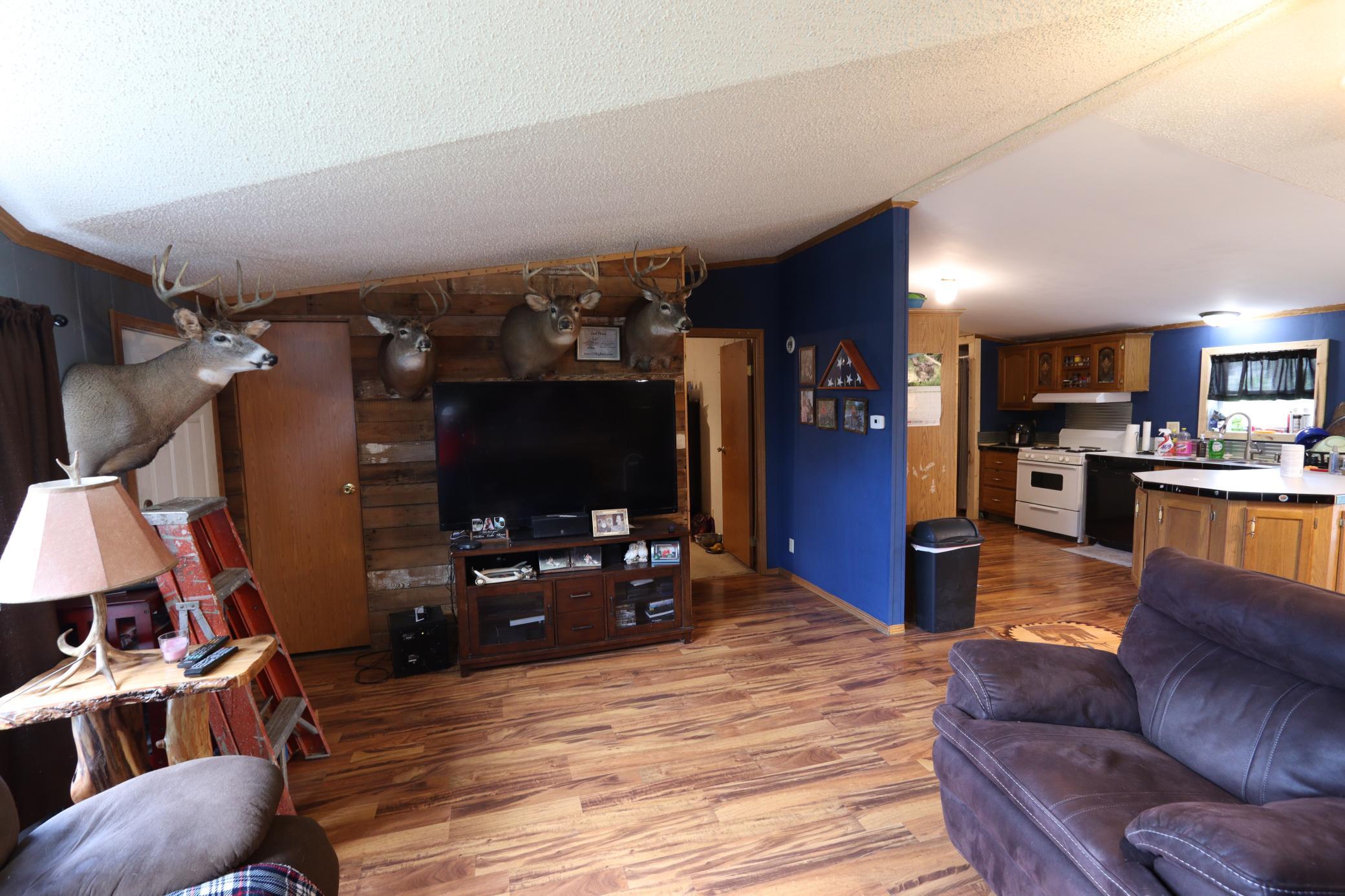 752 Lenmark Lane, Badger MN 56714 - Photo 18 of 42