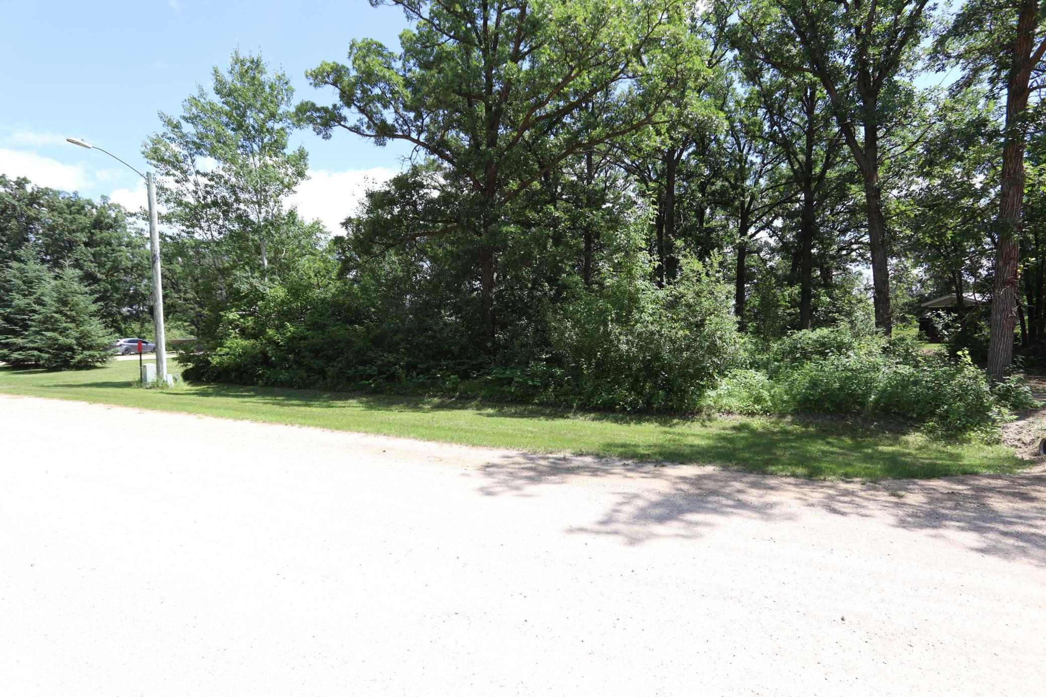 752 Lenmark Lane, Badger MN 56714 - Photo 33 of 42