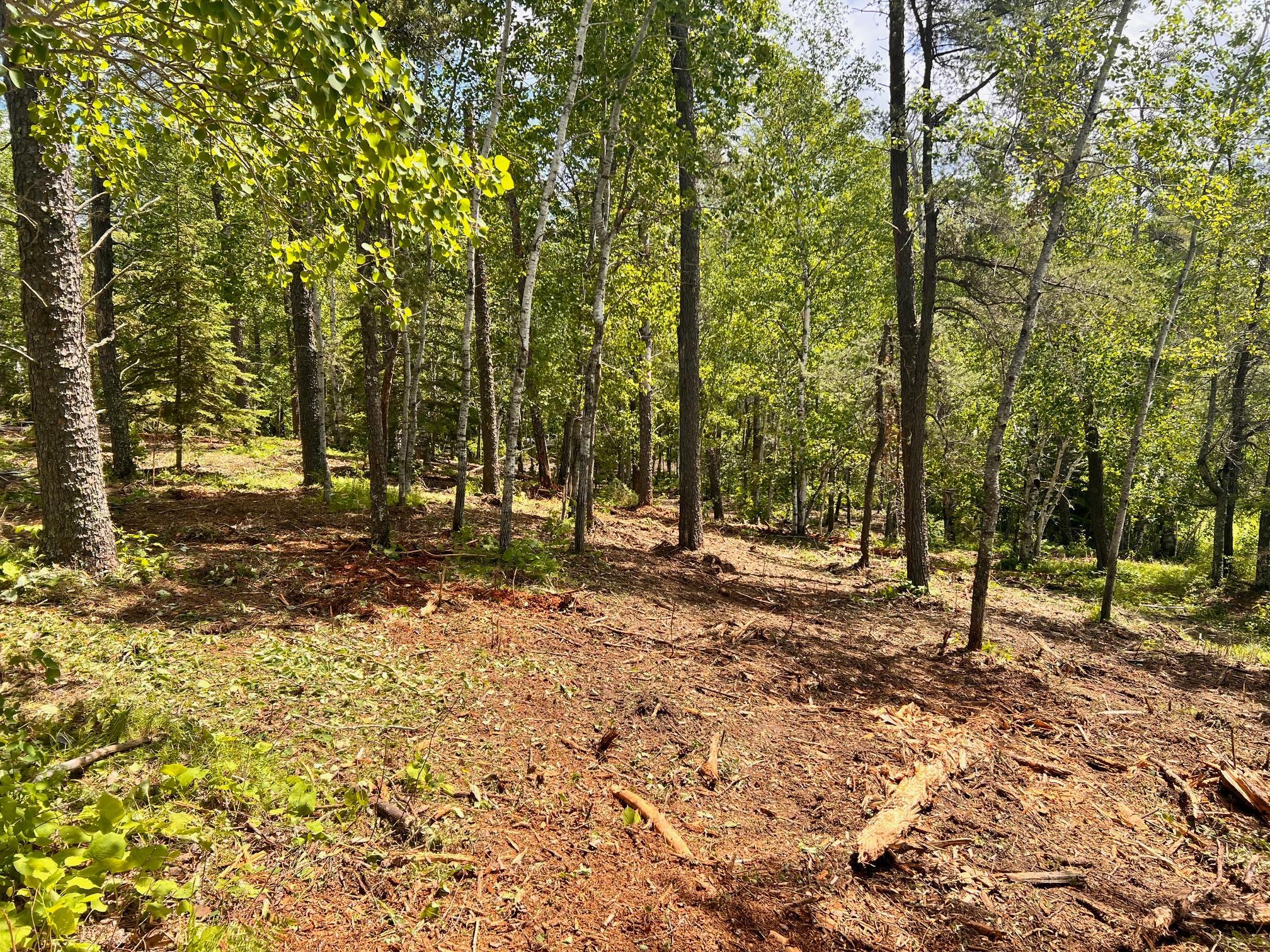 land for sale at xxxx County 37 in Laporte, MN (photo 4 of 5)