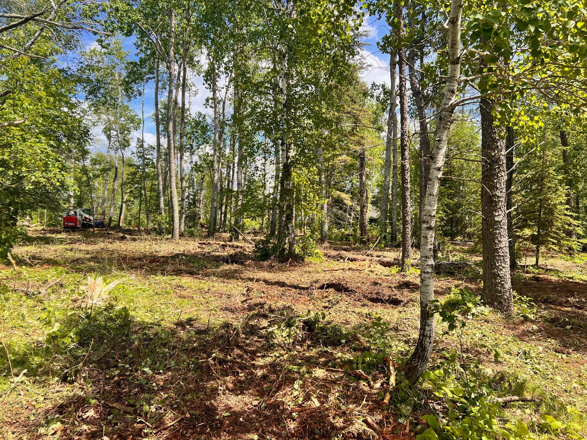 land for sale at xxxx County 37 in Laporte, MN (photo 5 of 5)