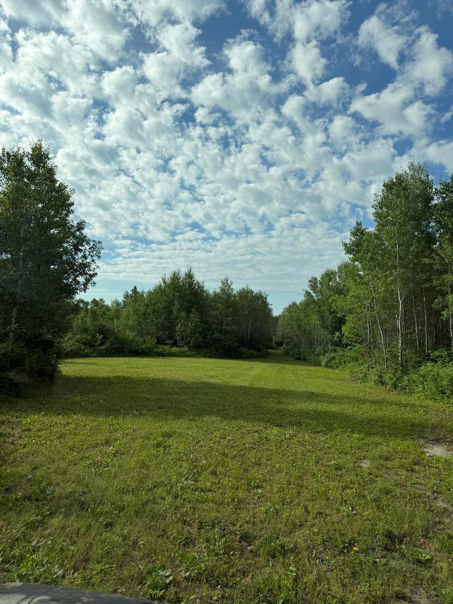 000 County Rd 56, Nashwauk MN 55769 - Photo 3 of 6