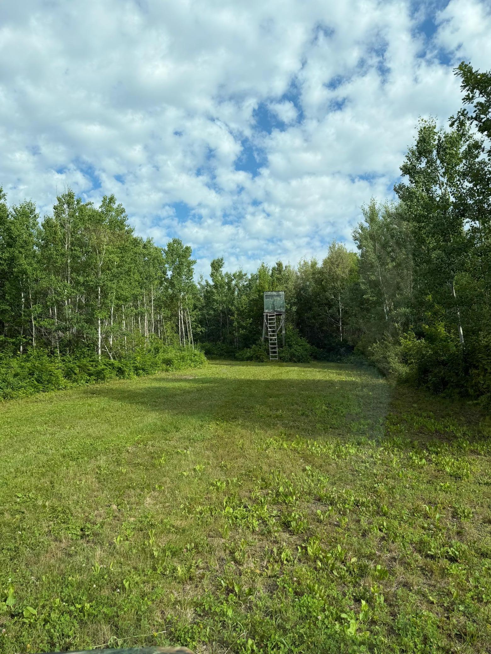 000 County Rd 56, Nashwauk MN 55769 - Photo 4 of 6