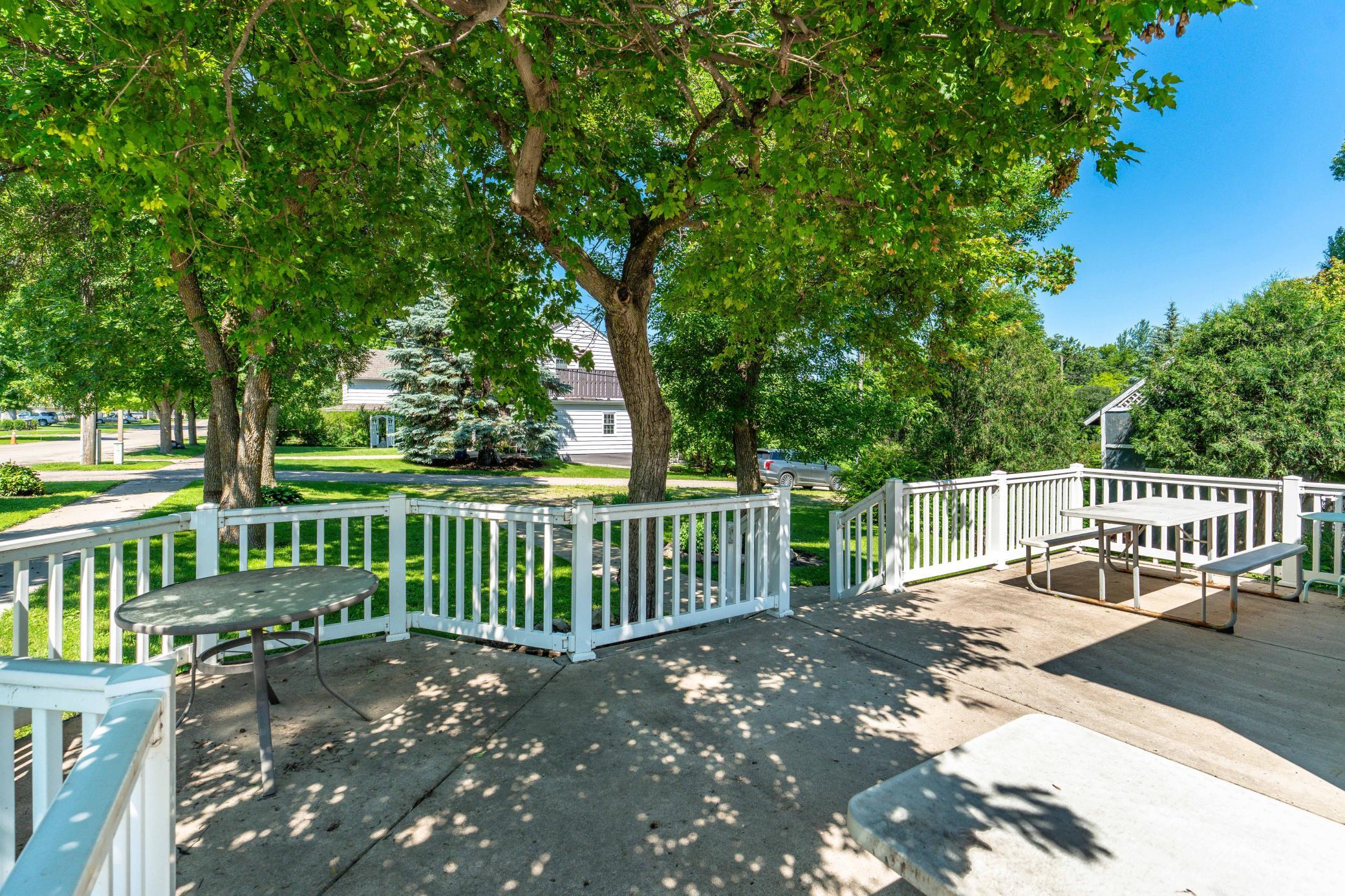 102 Summit Street, Battle Lake MN 56515 - Photo 46 of 62