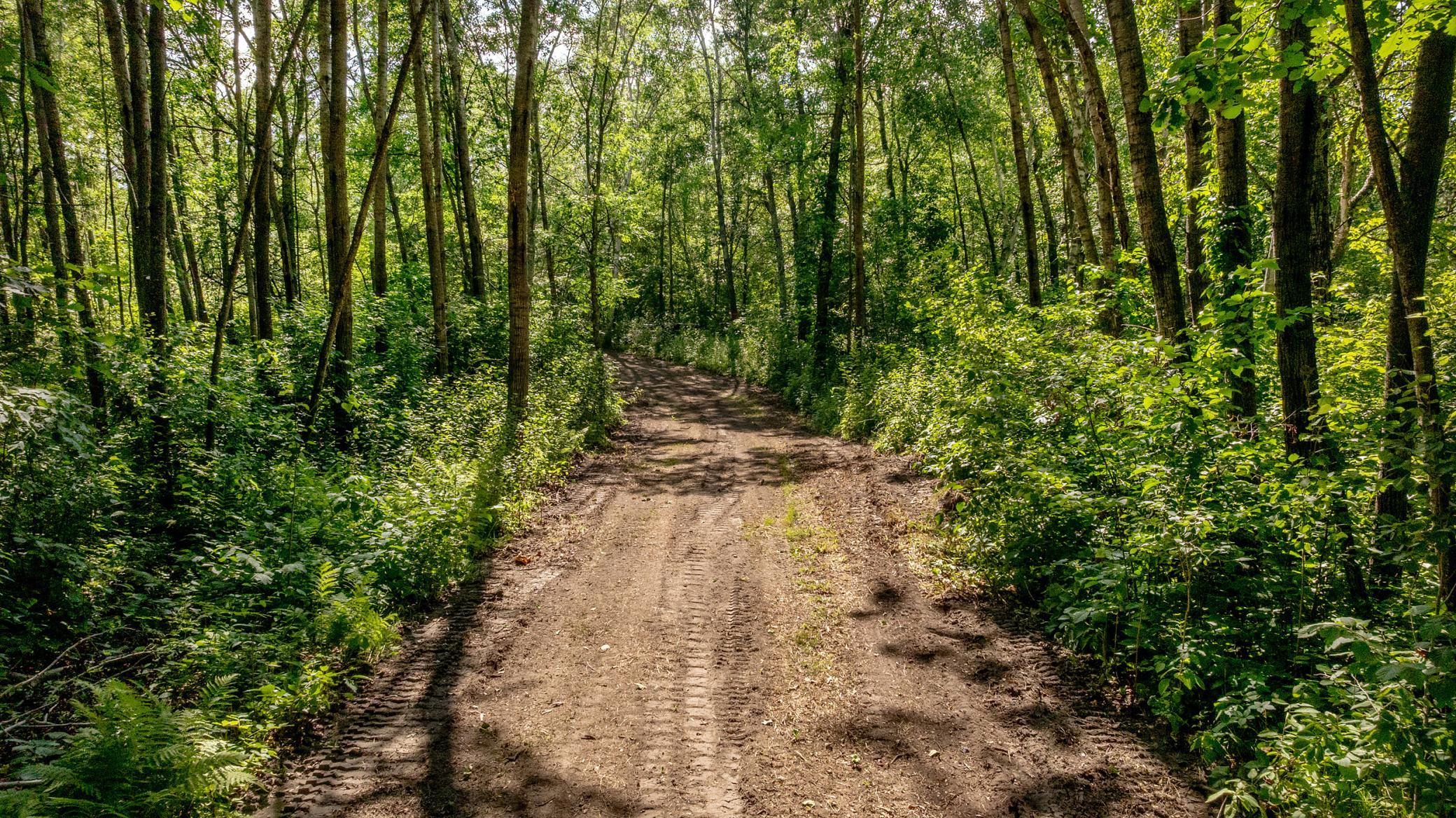 land for sale at TBD W Winnie Road NE in Bena, MN