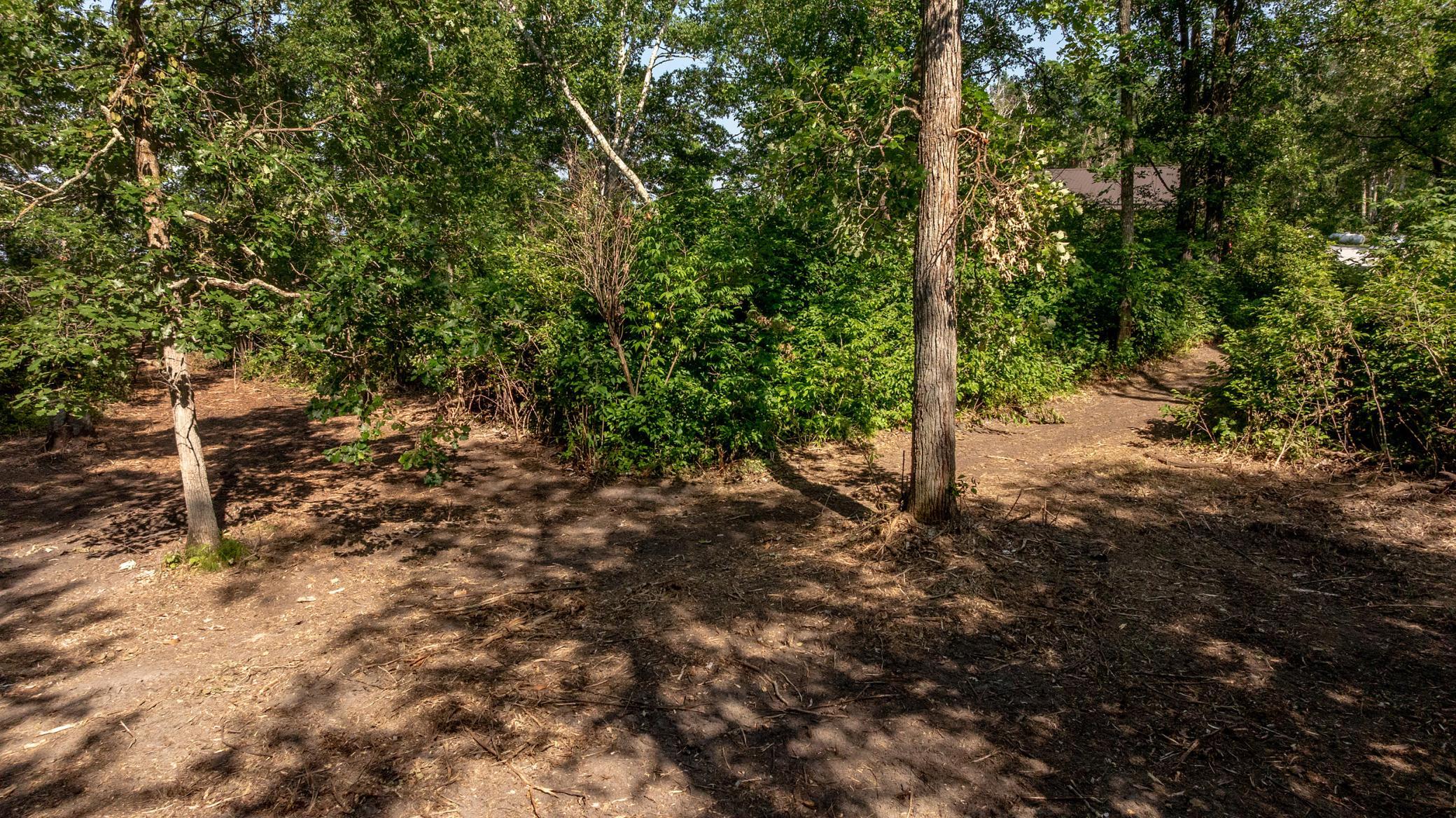 land for sale at TBD W Winnie Road NE in Bena, MN (photo 2 of 12)