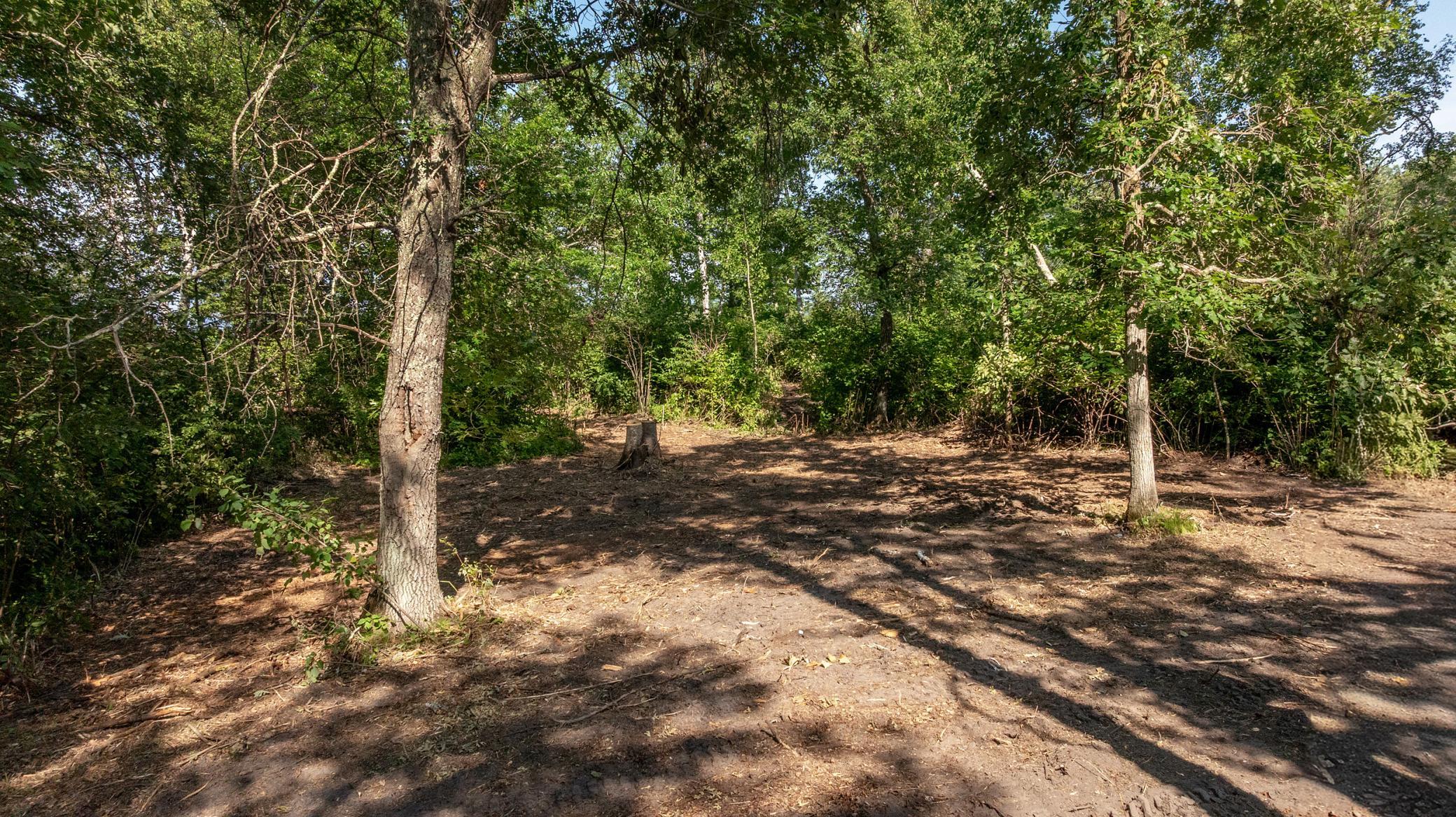 land for sale at TBD W Winnie Road NE in Bena, MN (photo 11 of 12)