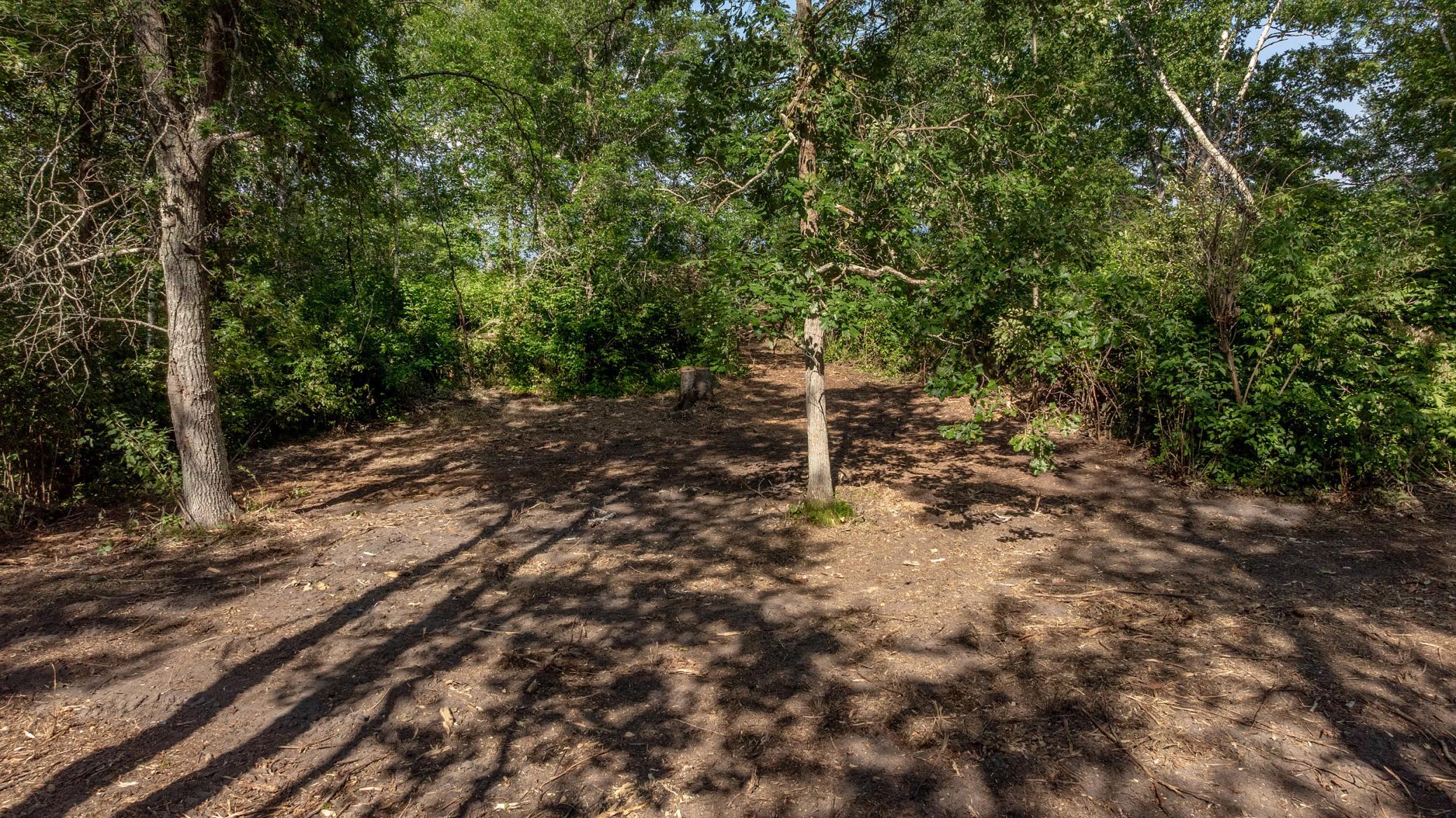 land for sale at TBD W Winnie Road NE in Bena, MN (photo 12 of 12)