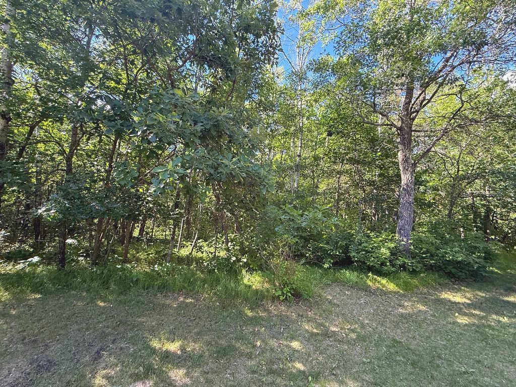 17949 253rd Avenue, Nevis MN 56467 - Photo 33 of 36