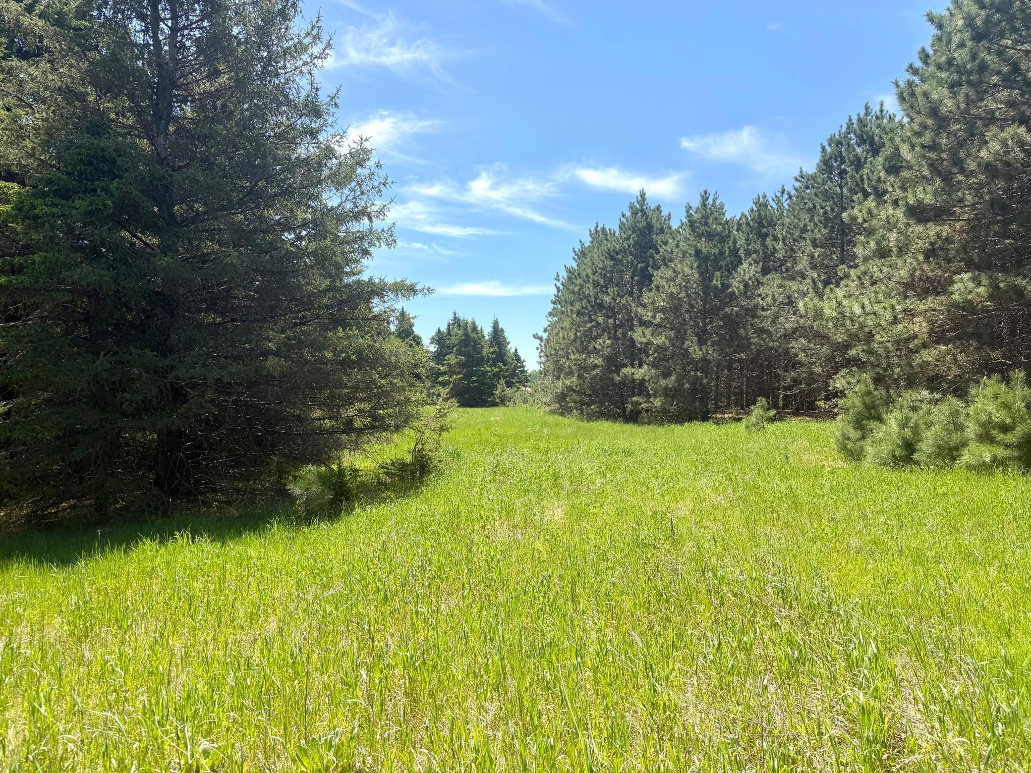 land for sale at TBD-20AC Sleepy Hollow Road in Brainerd, MN (photo 2 of 27)