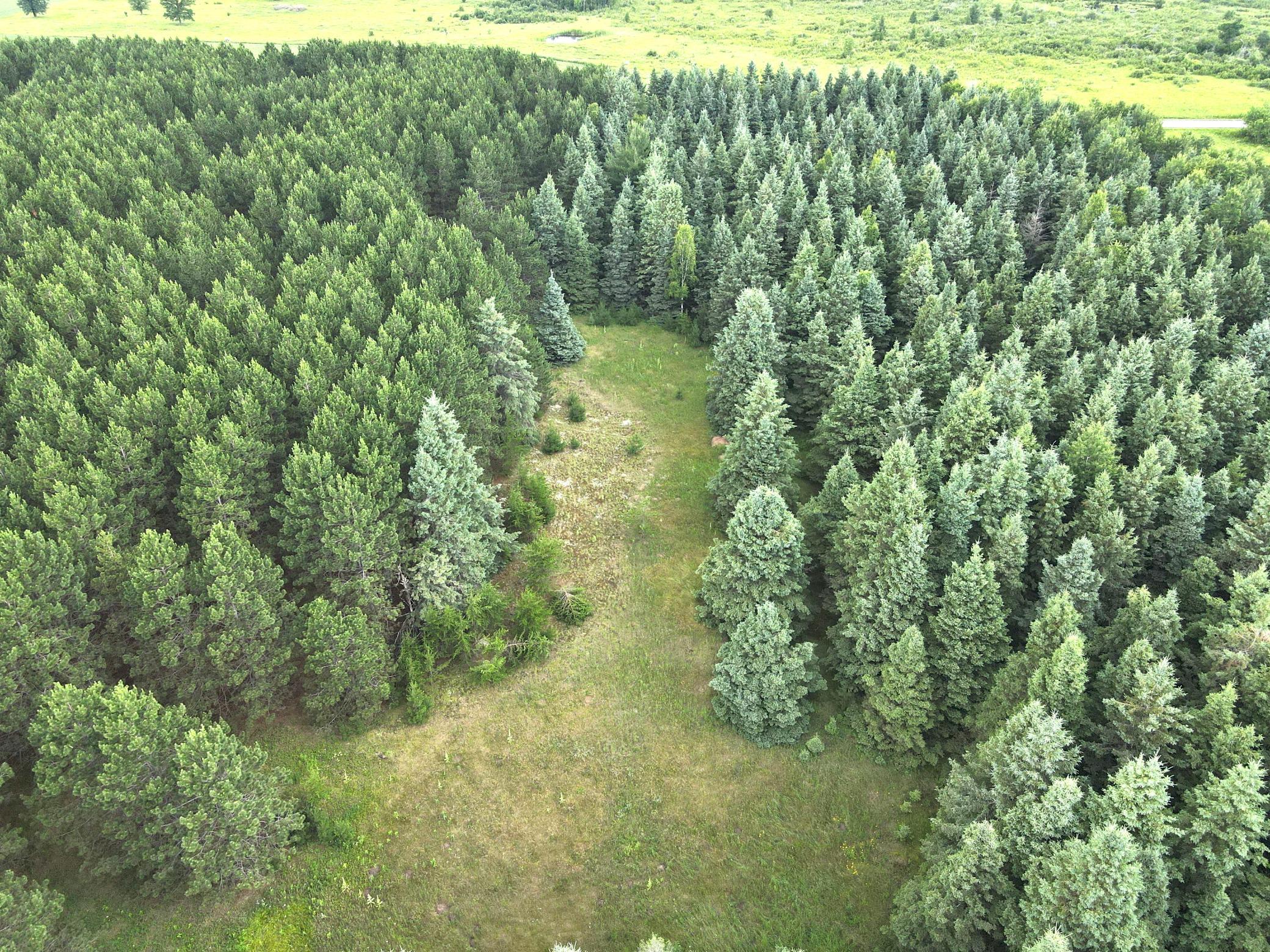 land for sale at TBD-20AC Sleepy Hollow Road in Brainerd, MN (photo 13 of 27)