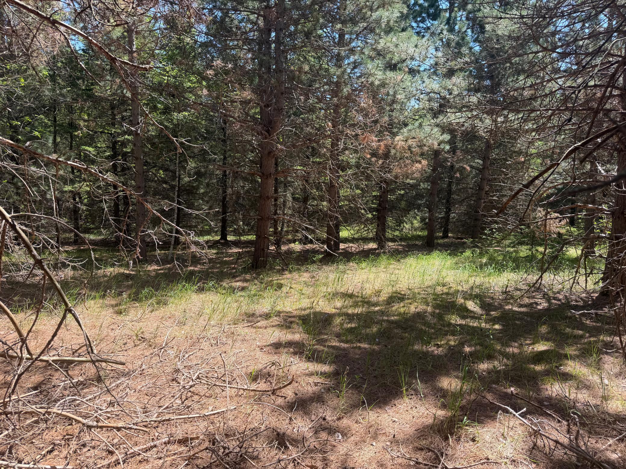 land for sale at TBD-20AC Sleepy Hollow Road in Brainerd, MN (photo 14 of 27)