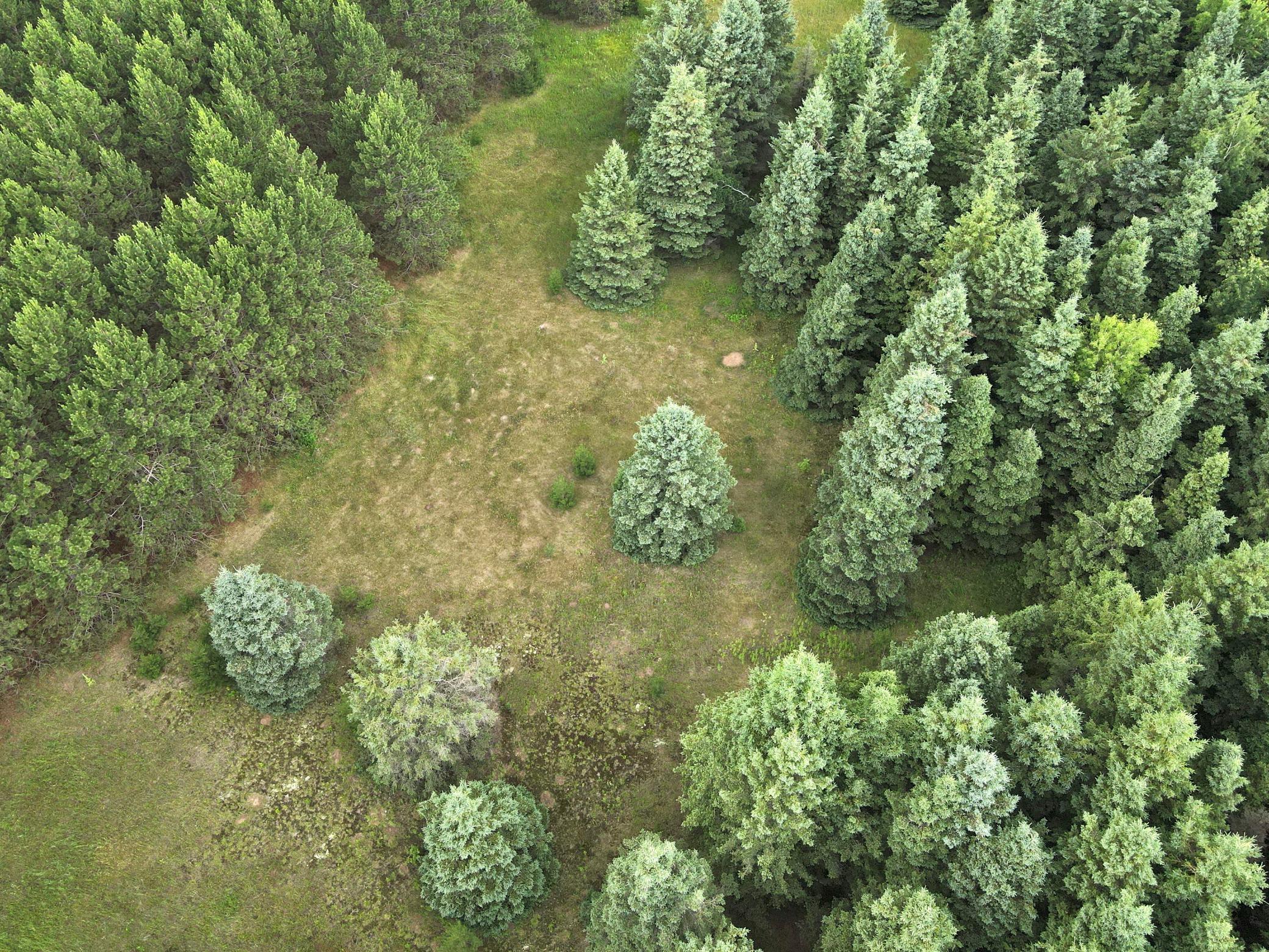 land for sale at TBD-20AC Sleepy Hollow Road in Brainerd, MN (photo 15 of 27)