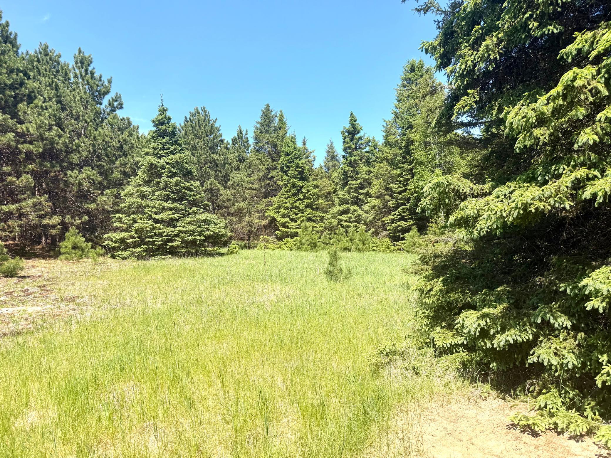 land for sale at TBD-20AC Sleepy Hollow Road in Brainerd, MN (photo 20 of 27)