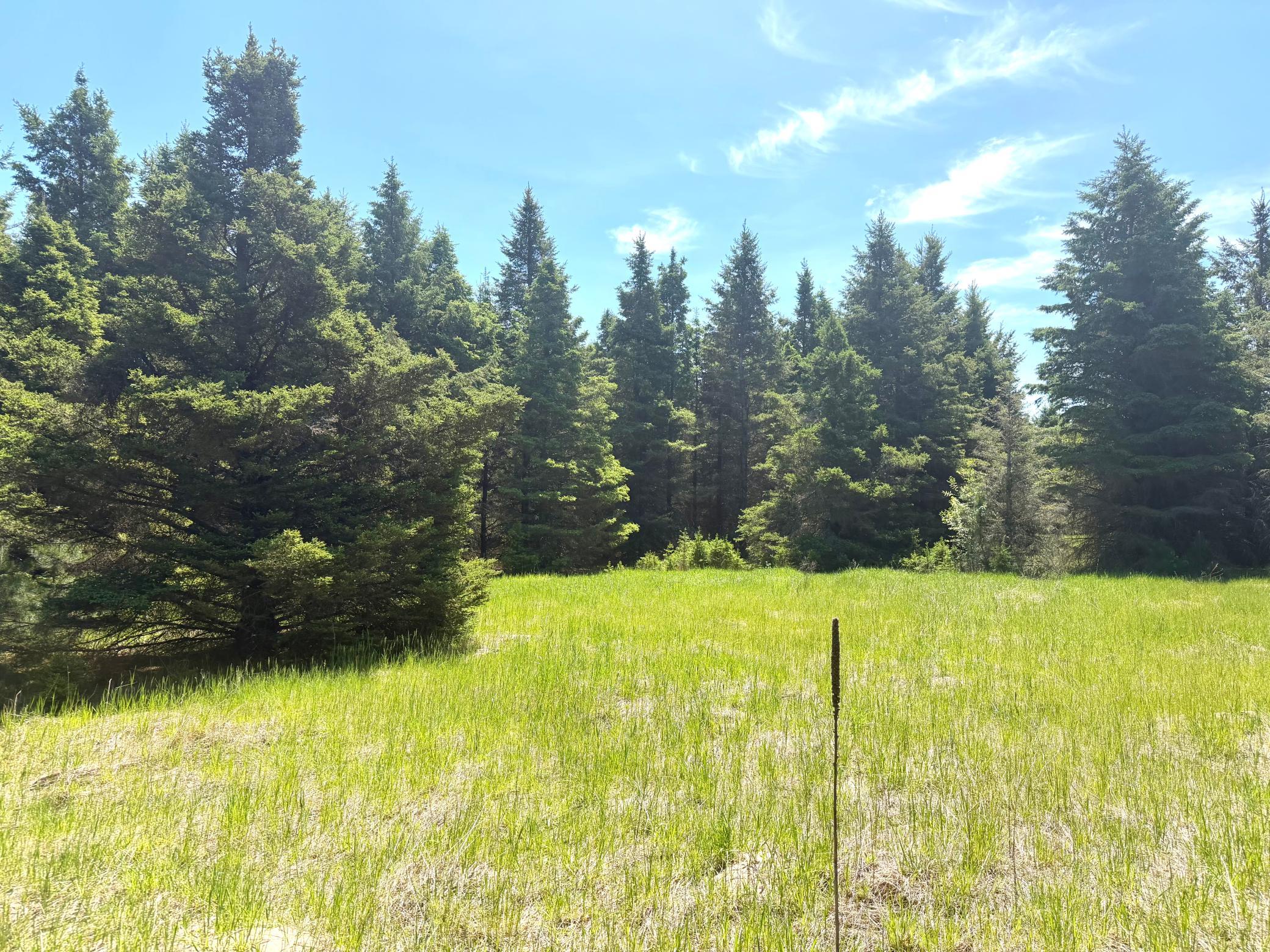 land for sale at TBD-20AC Sleepy Hollow Road in Brainerd, MN (photo 25 of 27)