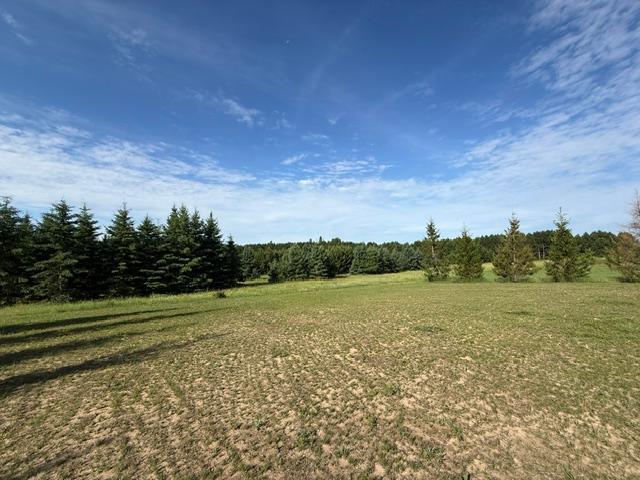 1320 Whiting Road NW, Unit 36, Bemidji MN 56601 - Photo 4 of 37