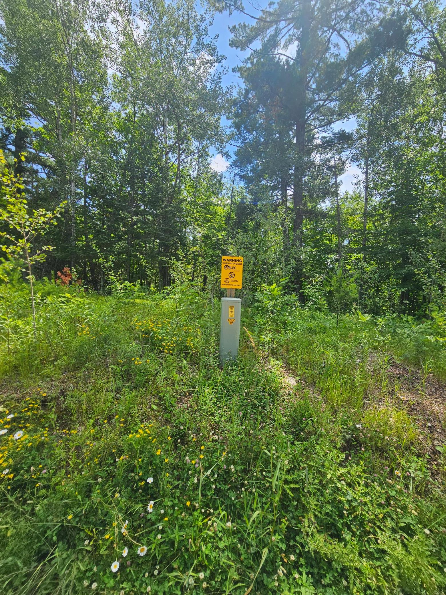 TBD Cedar Shores Drive, Deerwood Twp MN 56444 - Photo 6 of 10