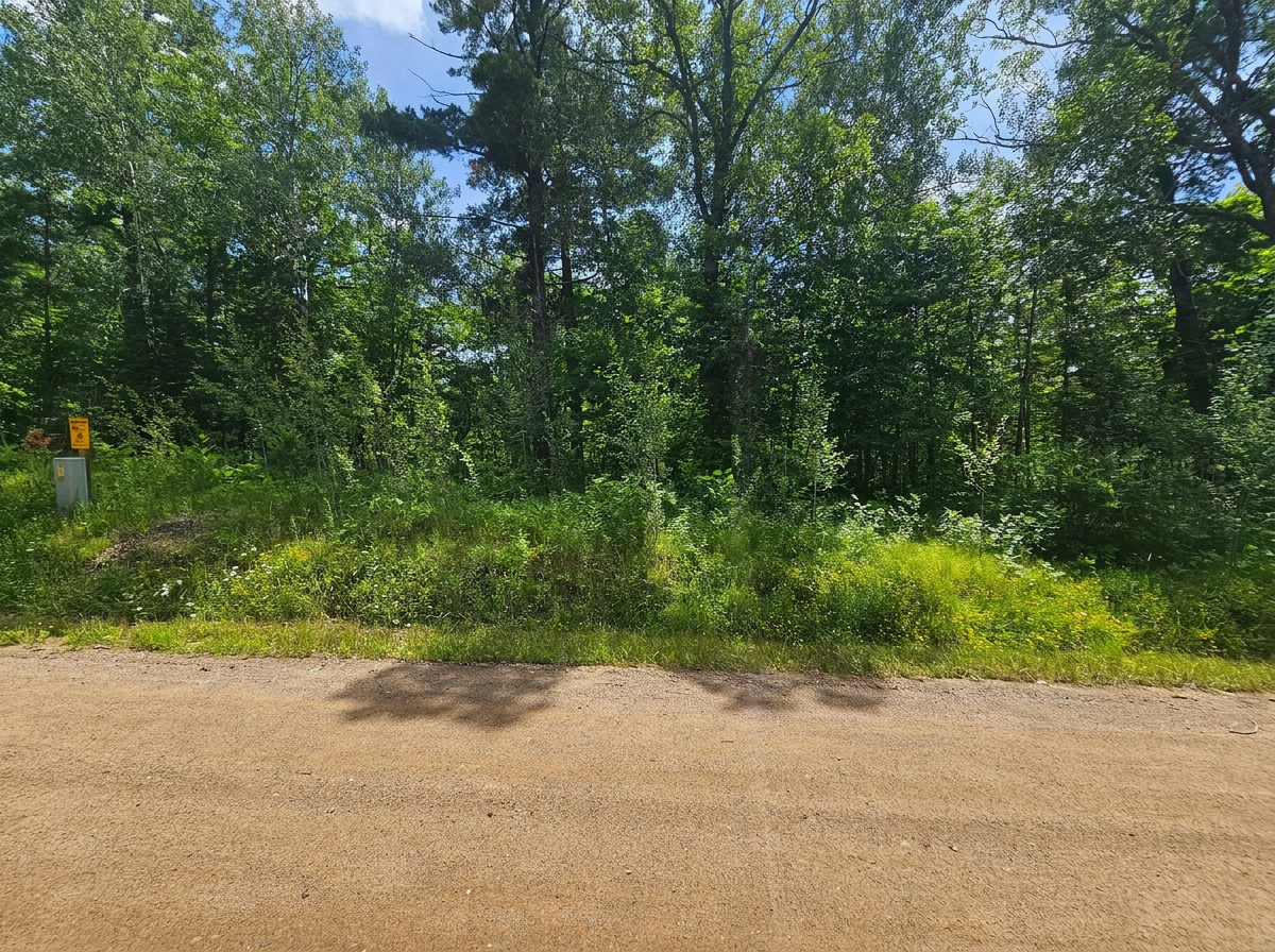 TBD Cedar Shores Drive, Deerwood Twp MN 56444 - Photo 10 of 10