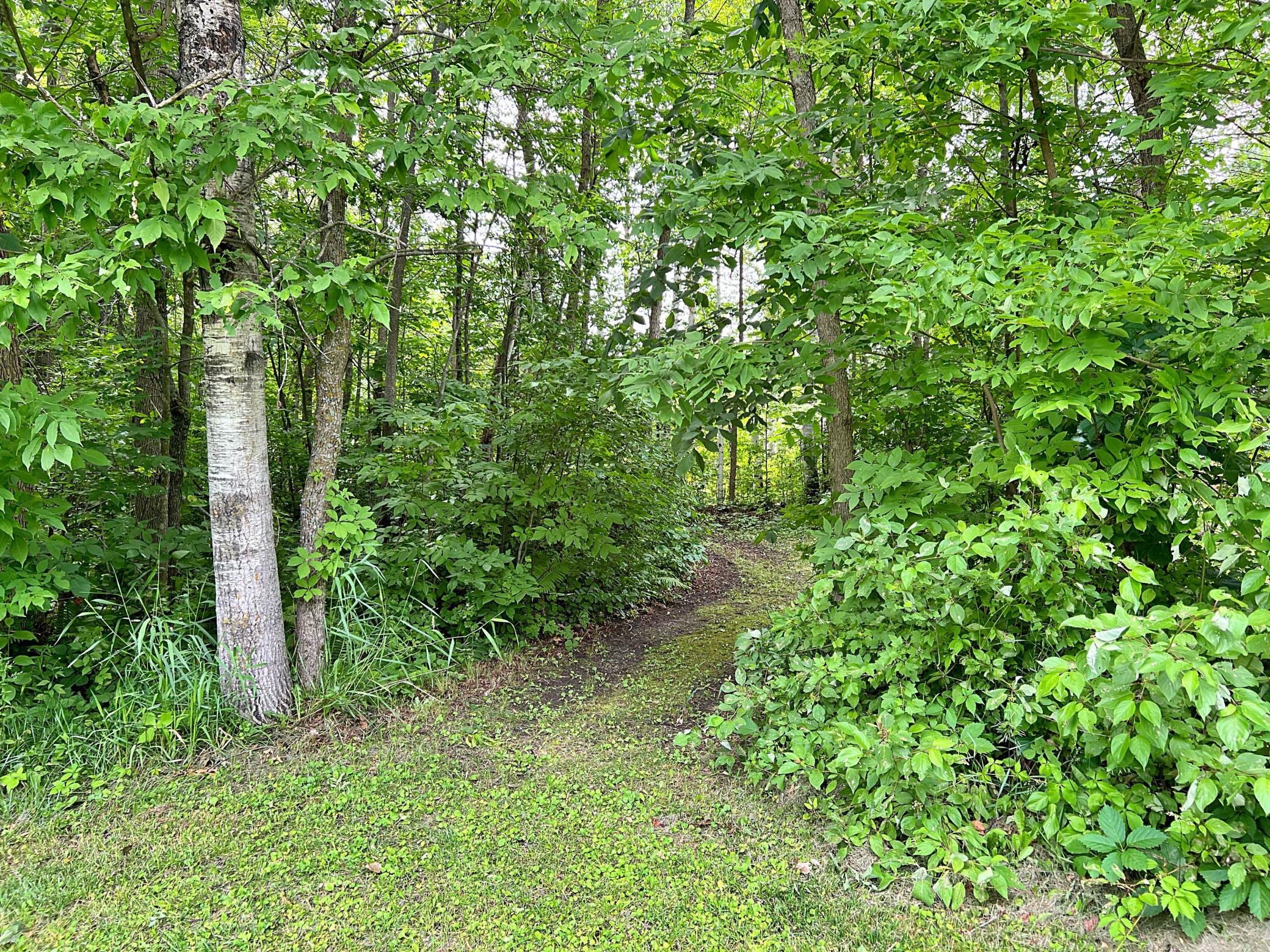 20433 640th Lane, Jacobson MN 55752 - Photo 7 of 30