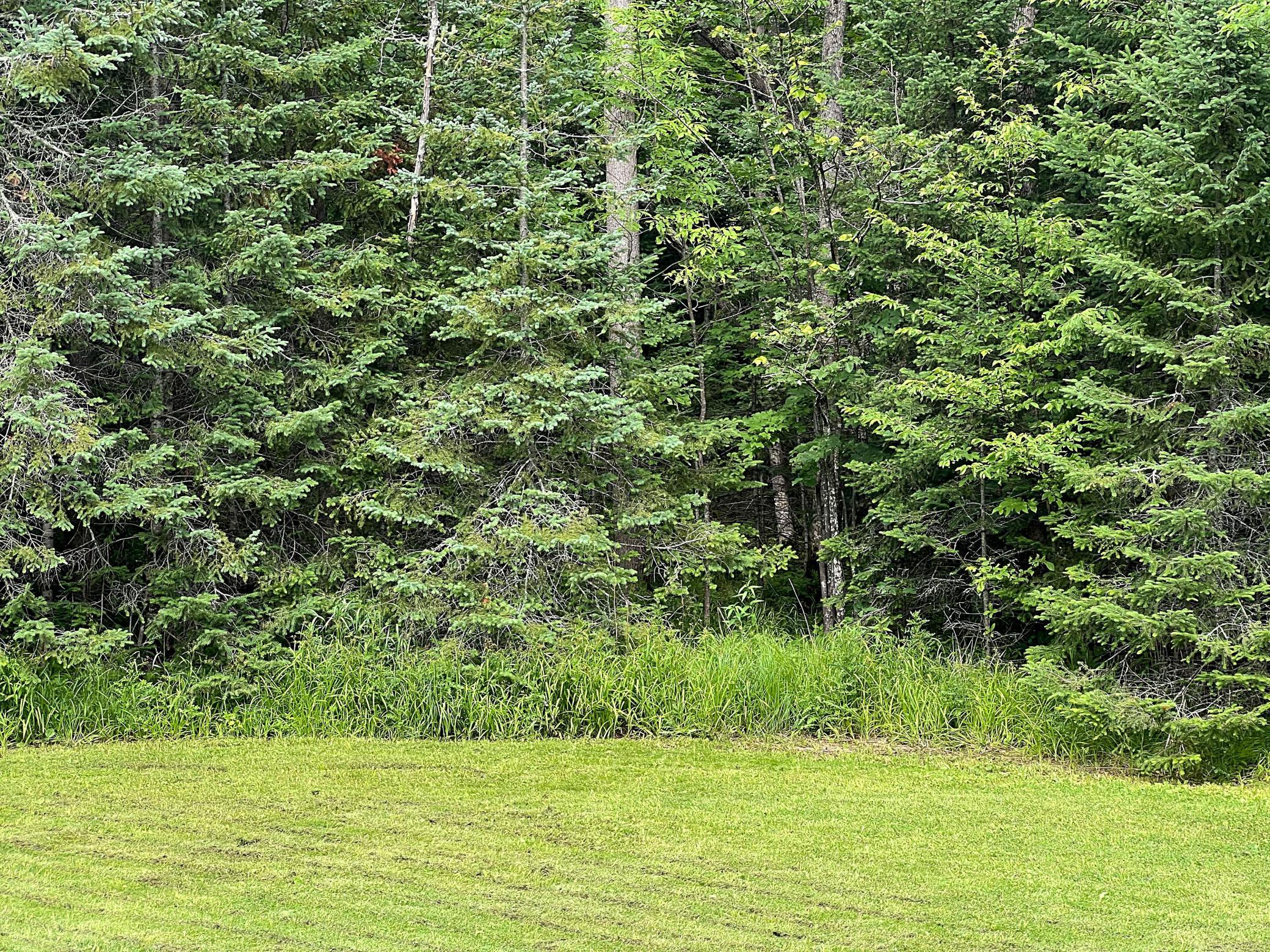18010 480th Lane, McGregor MN 55760 - Photo 26 of 28