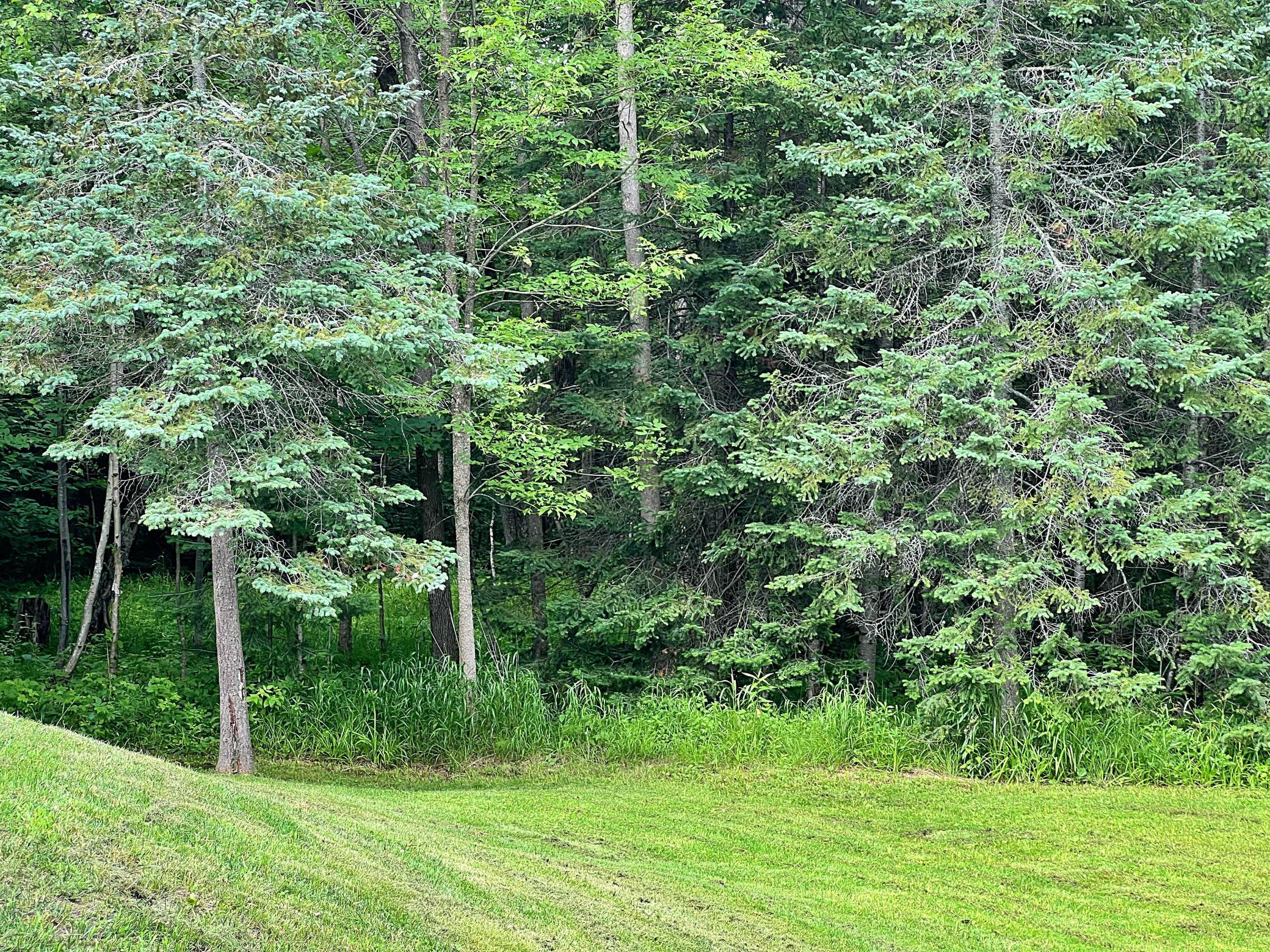 18010 480th Lane, McGregor MN 55760 - Photo 27 of 28