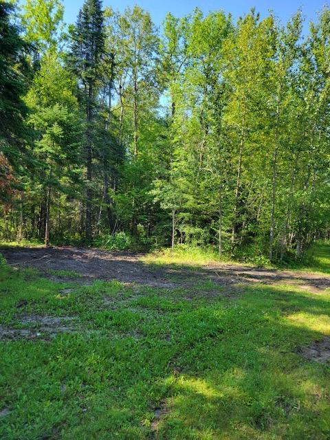 Lot 7 - TBD Driftwood Lane NW, Baudette MN 56623 - Photo 17 of 20