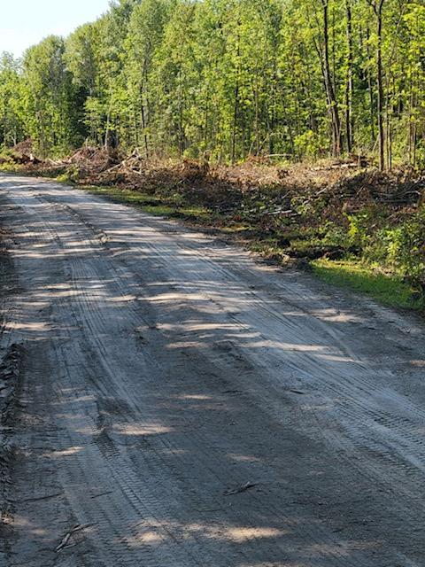 Lot 7 - TBD Driftwood Lane NW, Baudette MN 56623 - Photo 18 of 20