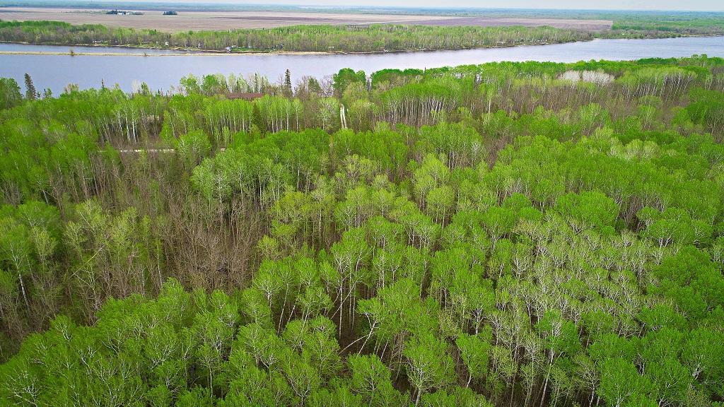 Lot 7 - TBD Driftwood Lane NW, Baudette MN 56623 - Photo 3 of 20