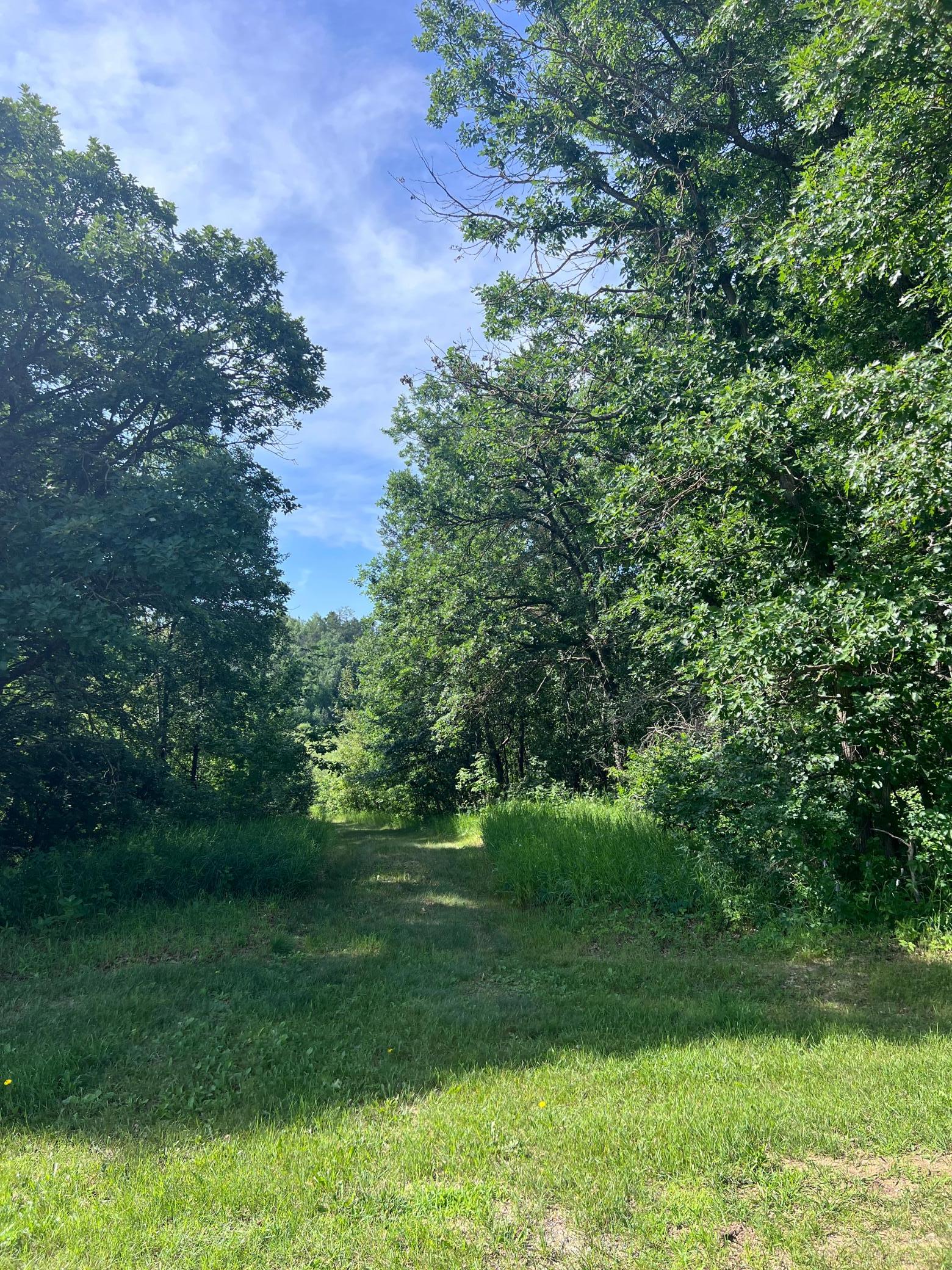TBD Main Street E, Menahga MN 56464 - Photo 2 of 10
