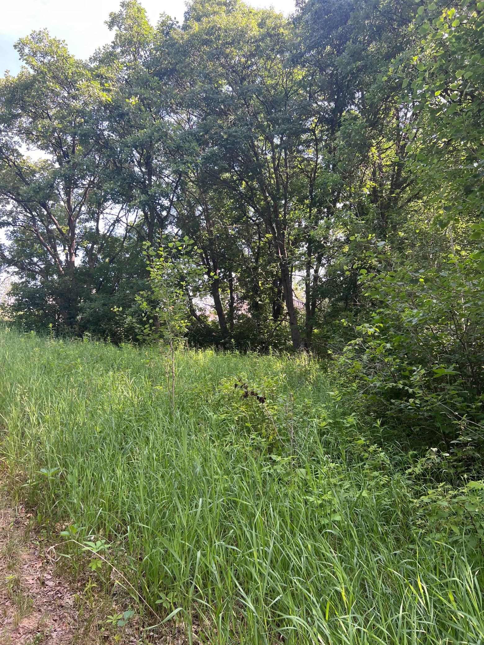 TBD Main Street E, Menahga MN 56464 - Photo 6 of 10