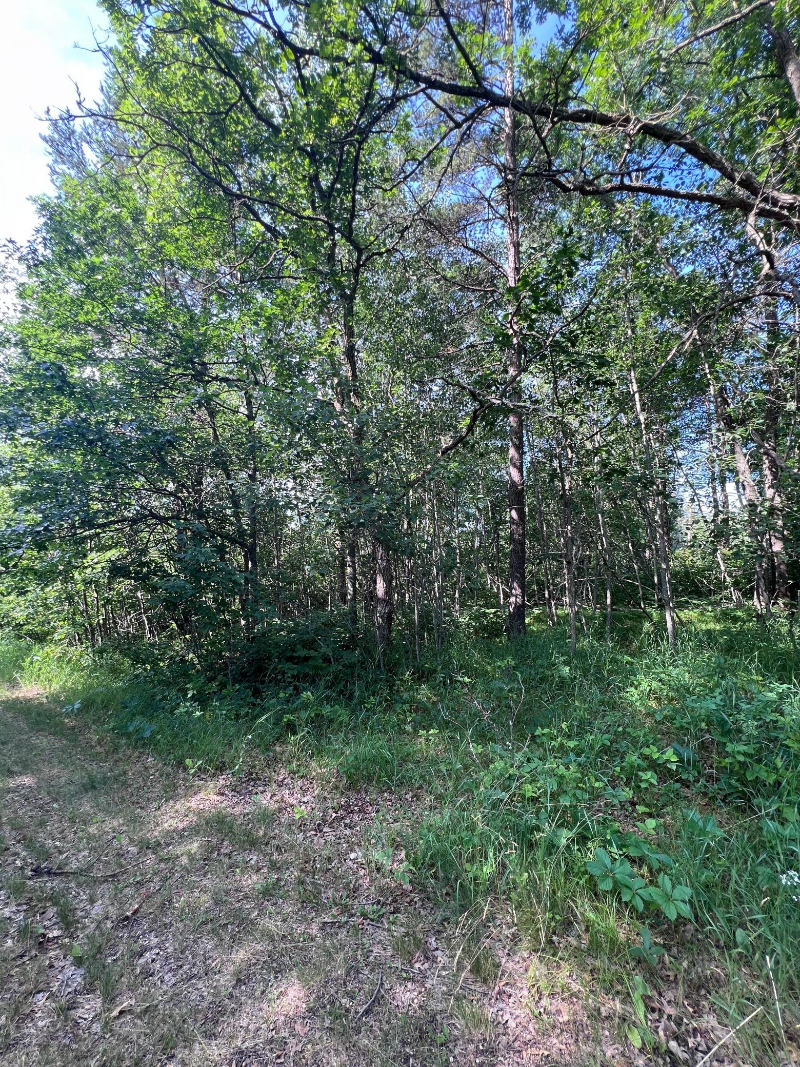 TBD Main Street E, Menahga MN 56464 - Photo 7 of 10