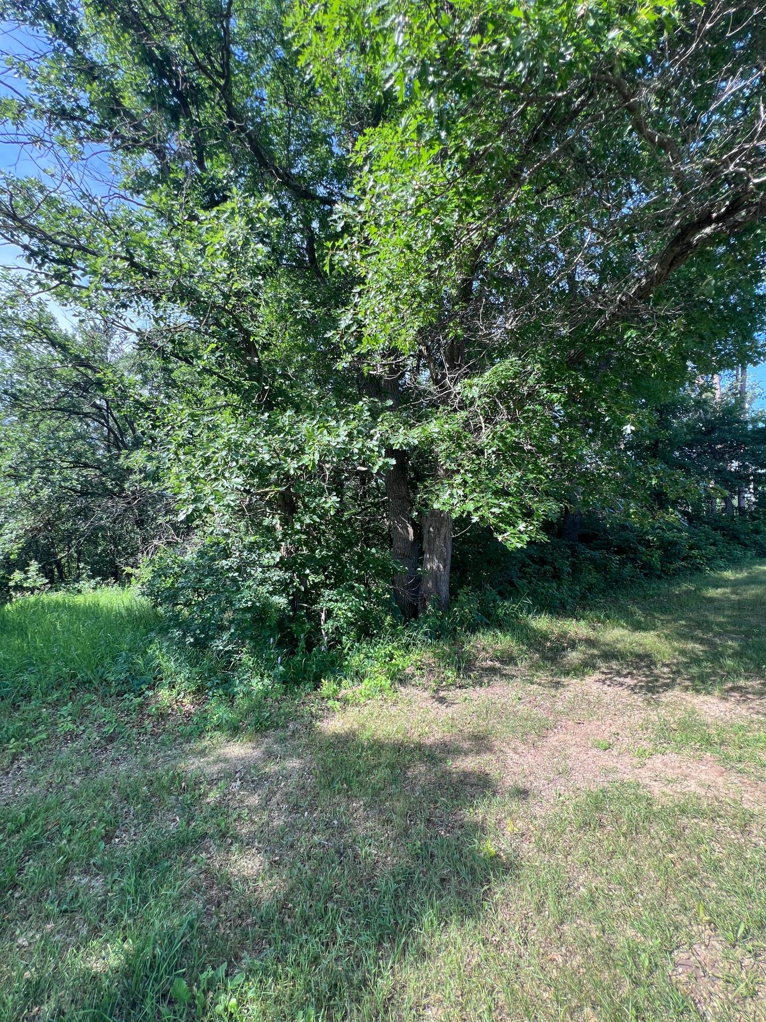 TBD Main Street E, Menahga MN 56464 - Photo 10 of 10