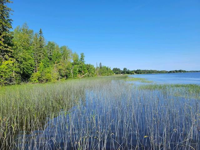 Lot 11 - TBD Driftwood Lane NW, Baudette MN 56623 - Photo 9 of 9