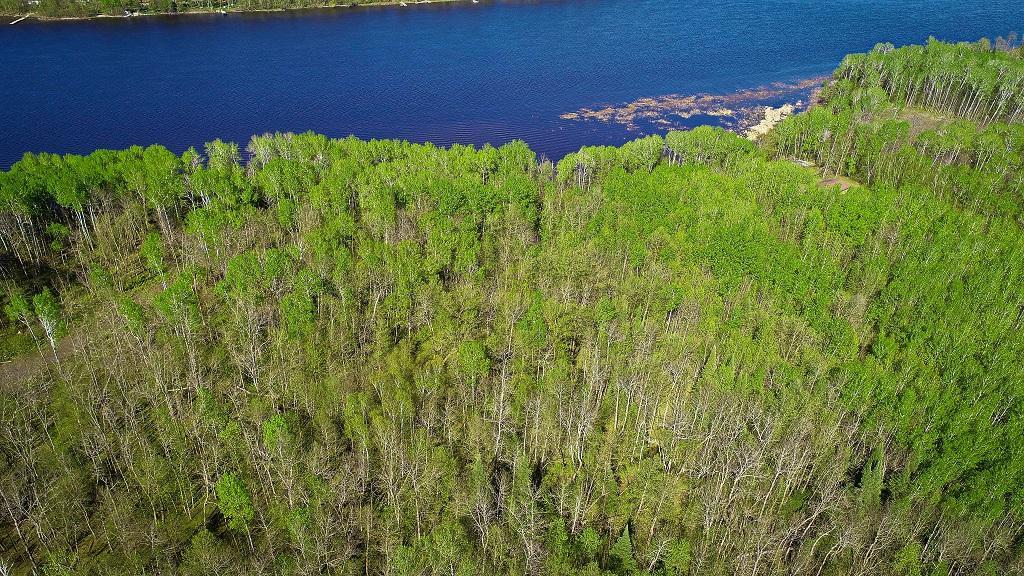 Lot 11 - TBD Driftwood Lane NW, Baudette MN 56623 - Photo 2 of 9