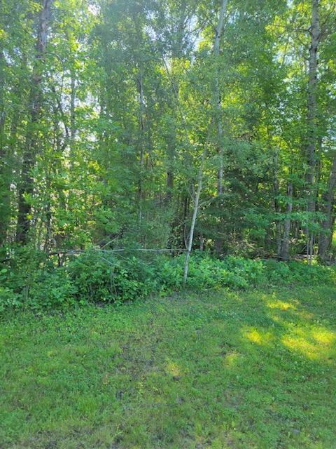 Lot 12 - TBD Driftwood Lane NW, Baudette MN 56623 - Photo 7 of 9