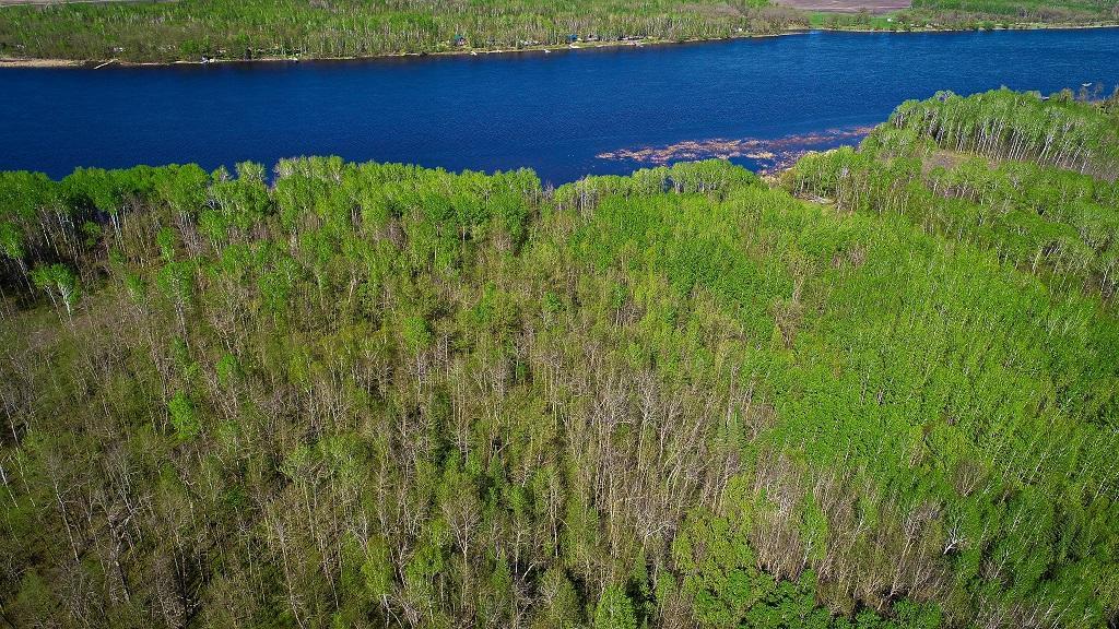 land for sale at Lot 12 - TBD Driftwood Lane NW in Baudette, MN (photo 3 of 17)