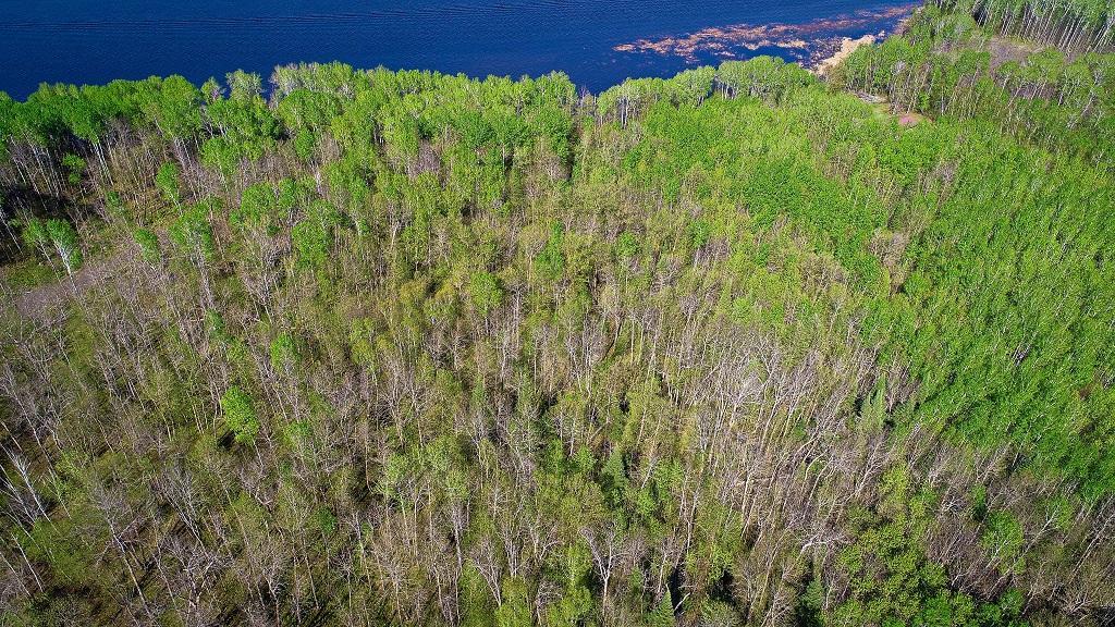 Lot 12 - TBD Driftwood Lane NW, Baudette MN 56623 - Photo 2 of 9