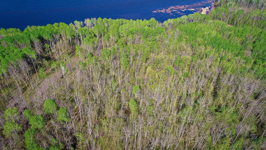 Lot 12 - TBD Driftwood Lane NW, Baudette MN 56623 - Photo 3 of 9