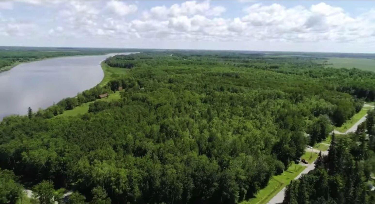 Lot 12 - TBD Driftwood Lane NW, Baudette MN 56623 - Photo 5 of 9