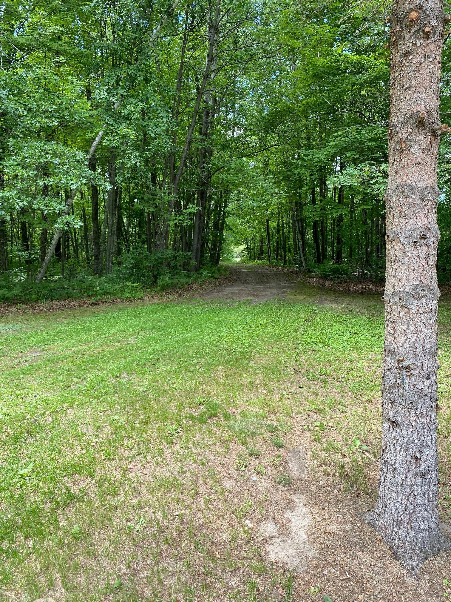 24280 County Road 3, Merrifield MN 56465 - Photo 29 of 29