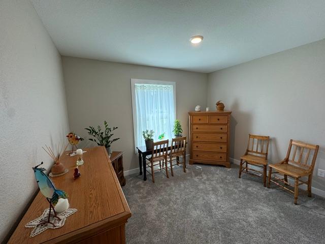 744 Kingsley Avenue SE, Wadena MN 56482 - Photo 29 of 42