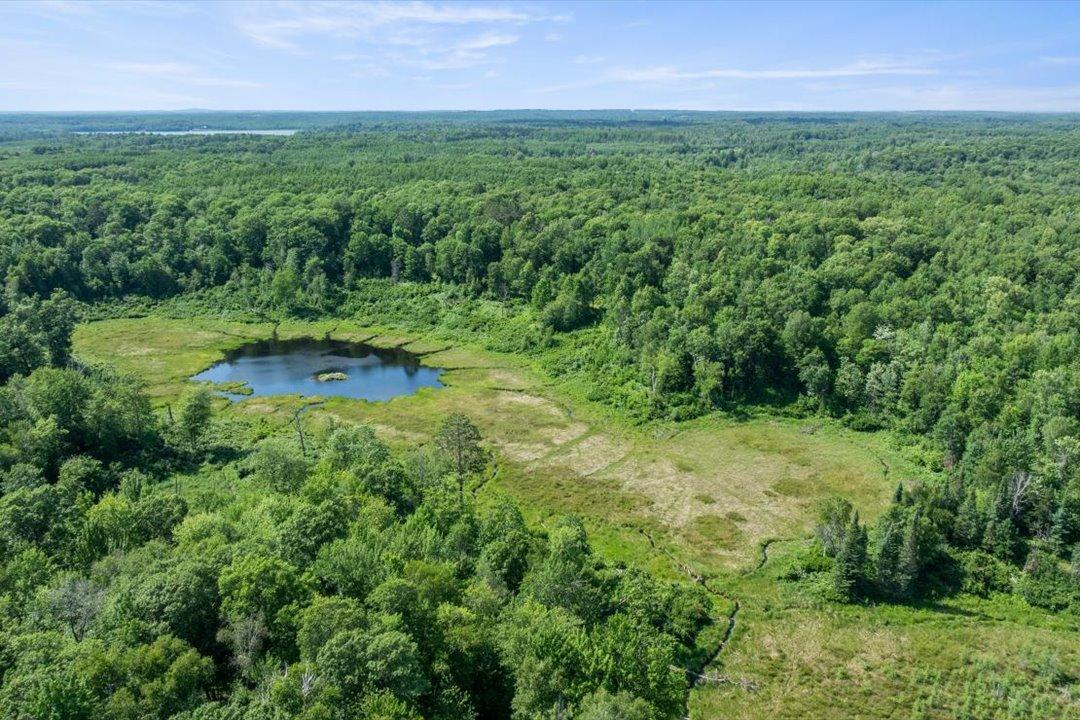 TBD Lot B Hidden Pond Lane, Pequot Lakes MN 56472 - Photo 16 of 20